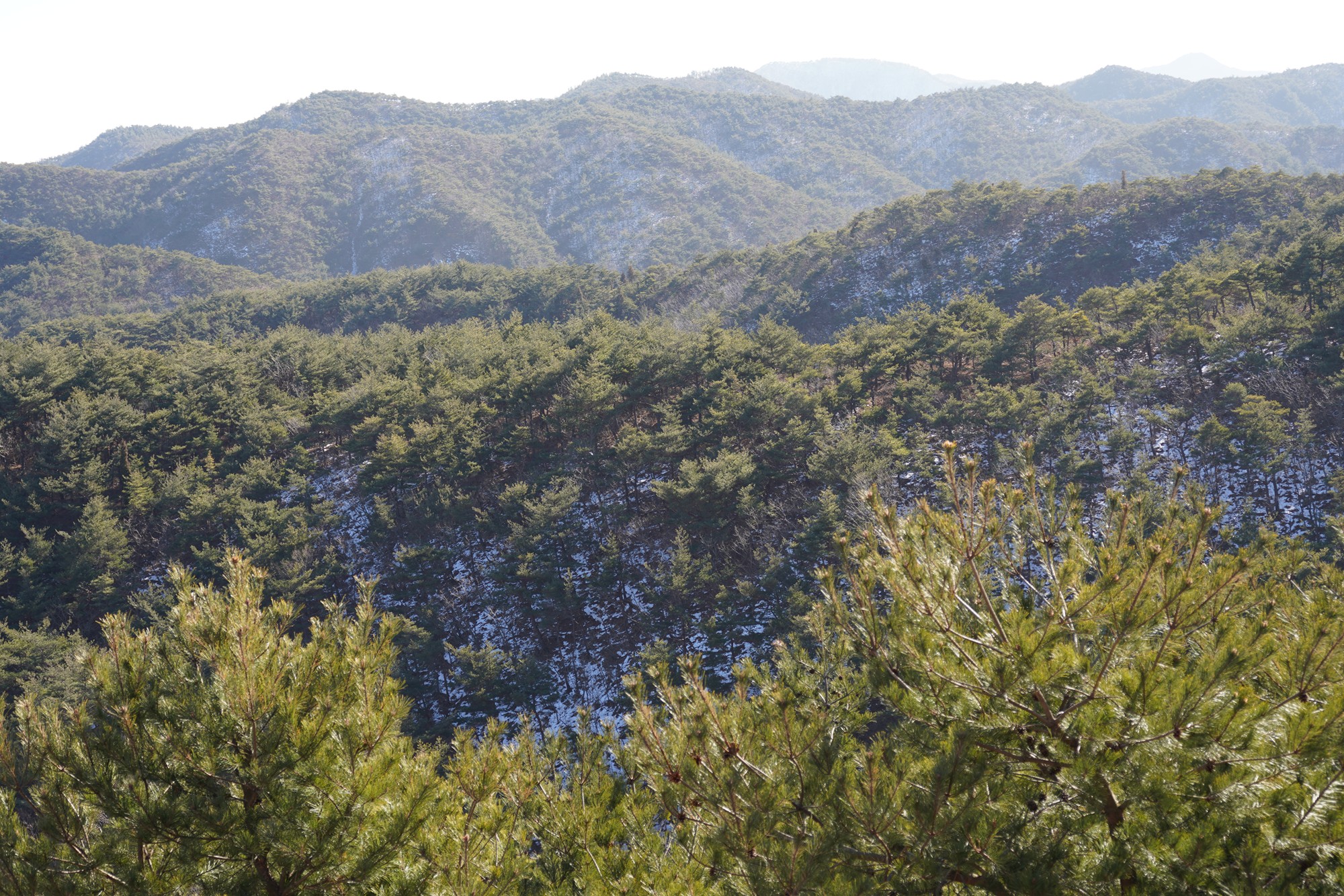 Gangneung 3 (28)