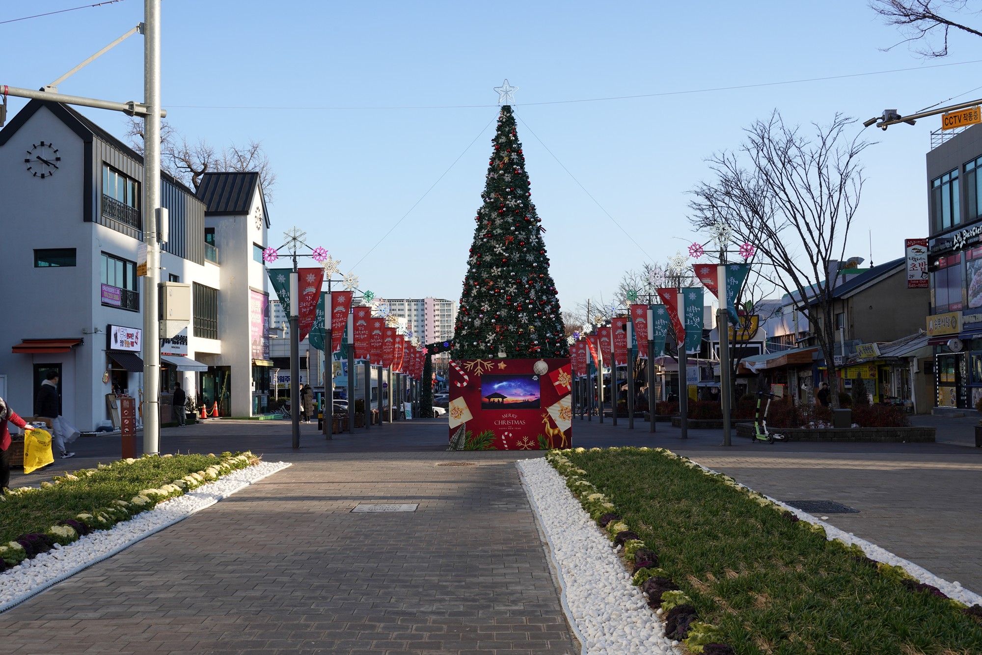 Gangneung Wolhwa Street (2)