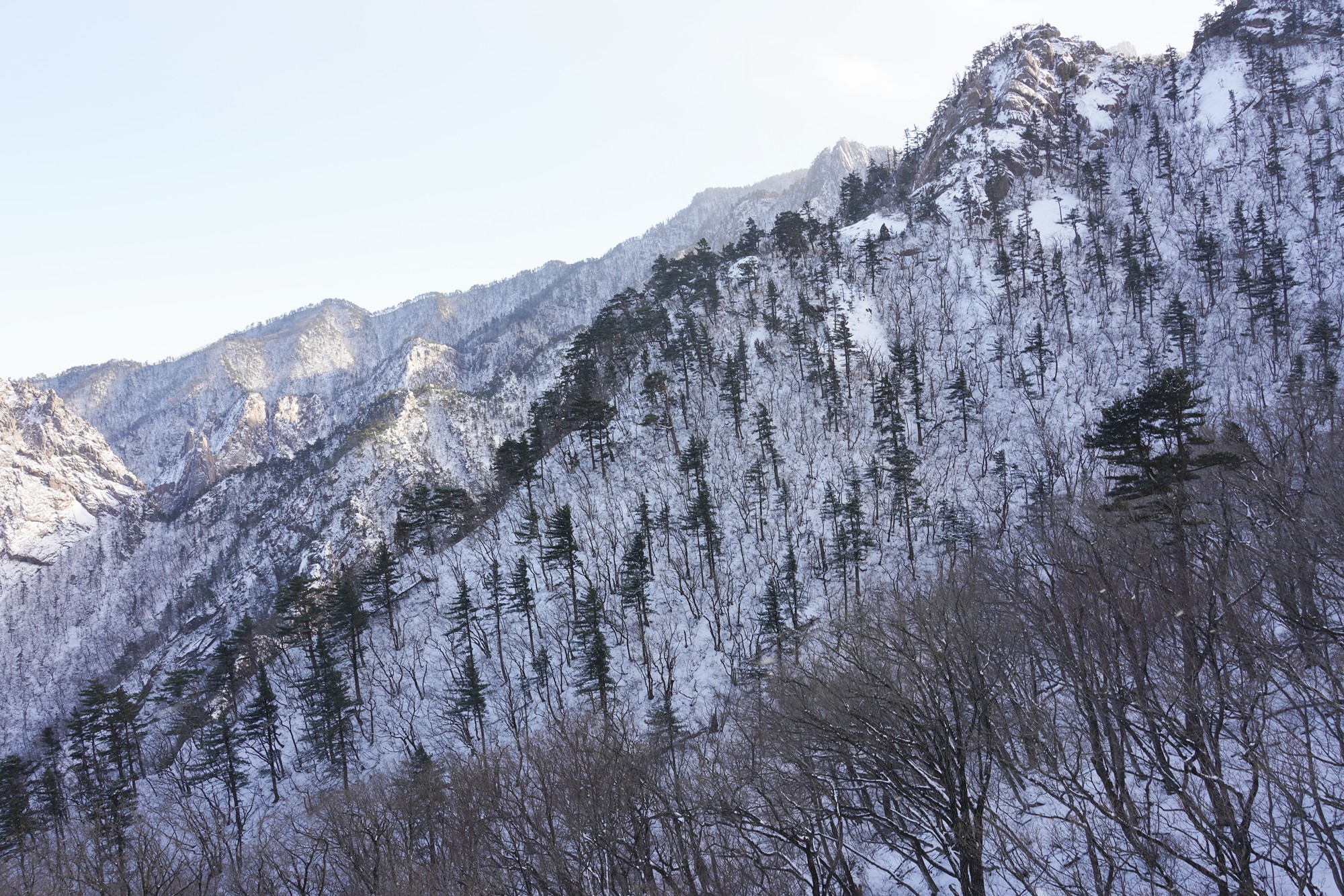 Sokcho 3 (13)