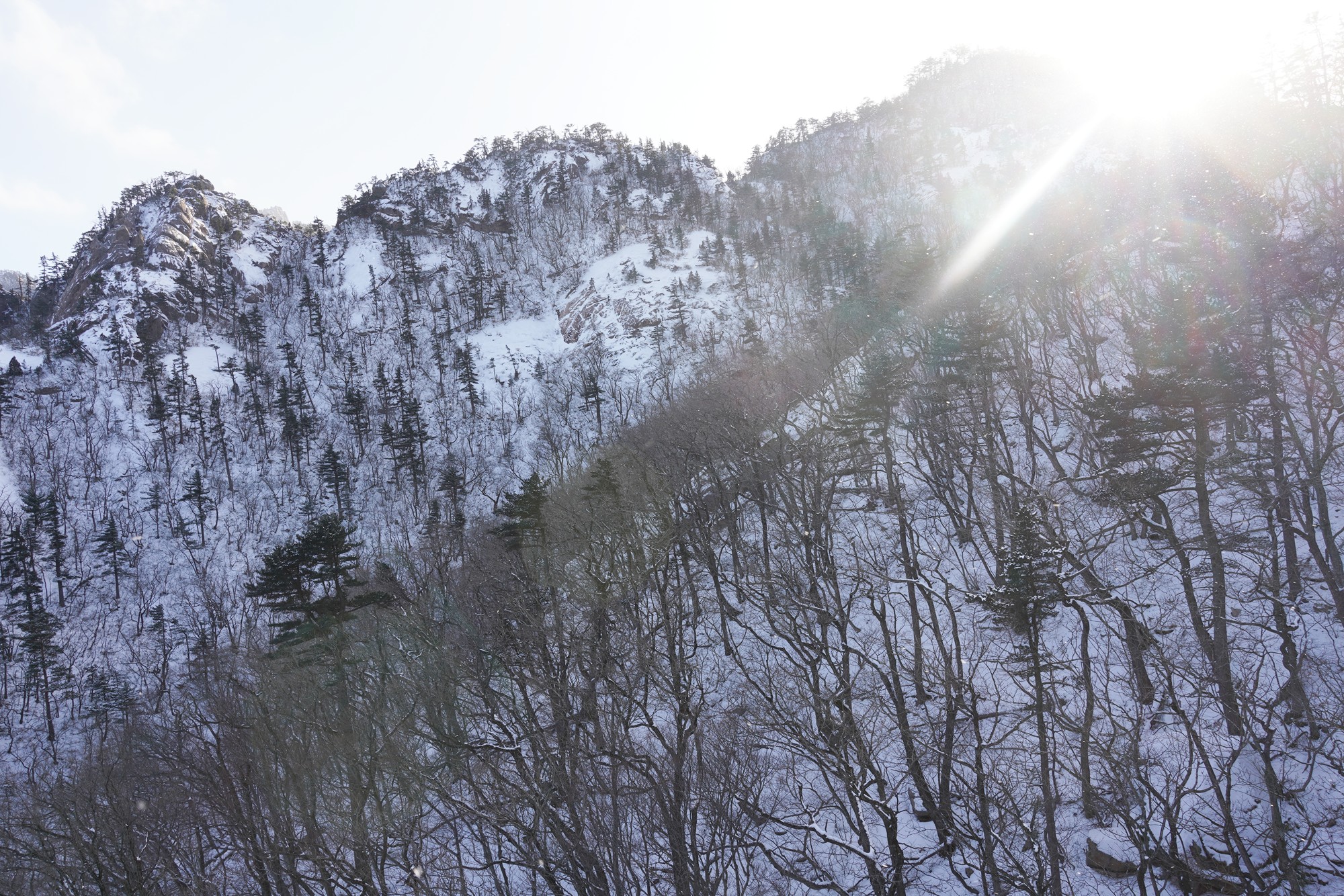 Sokcho 3 (16)