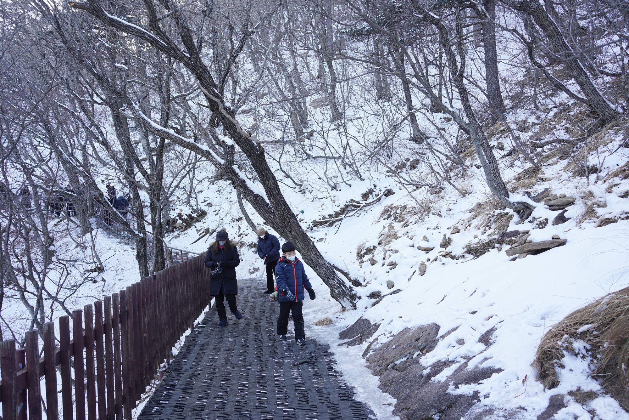 Sokcho 3 (19)