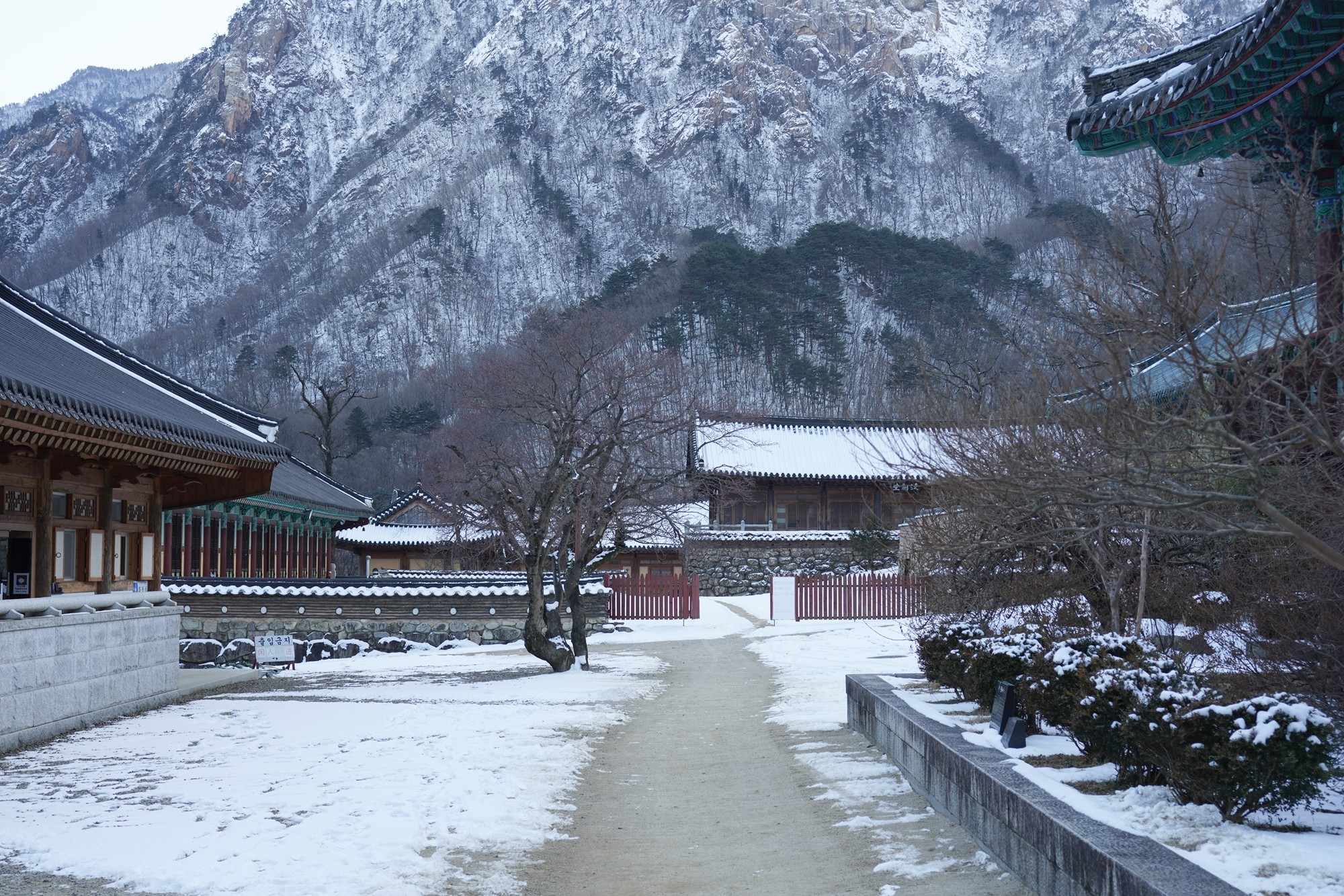 Sokcho 3 (44)