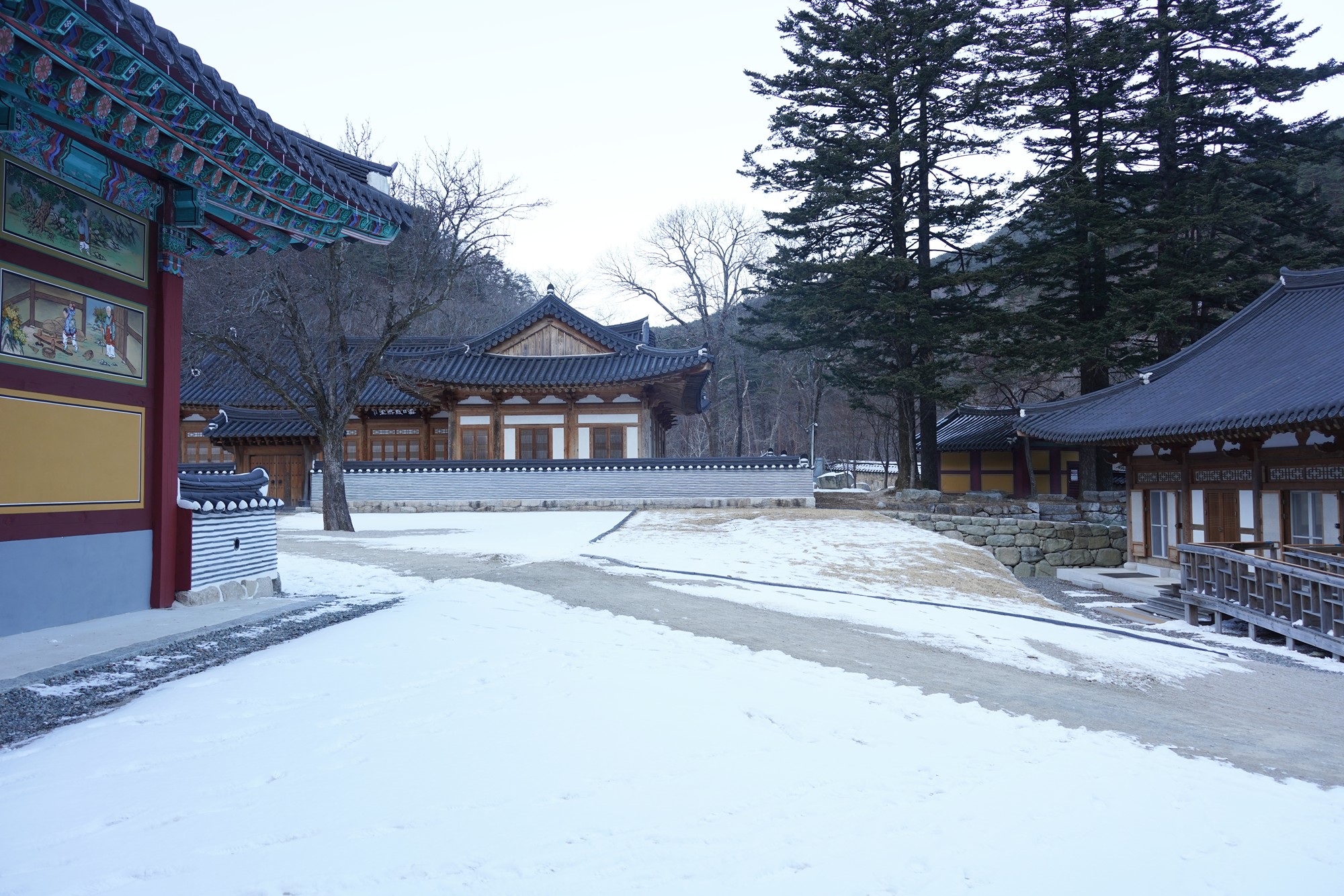 Sokcho 3 (52)