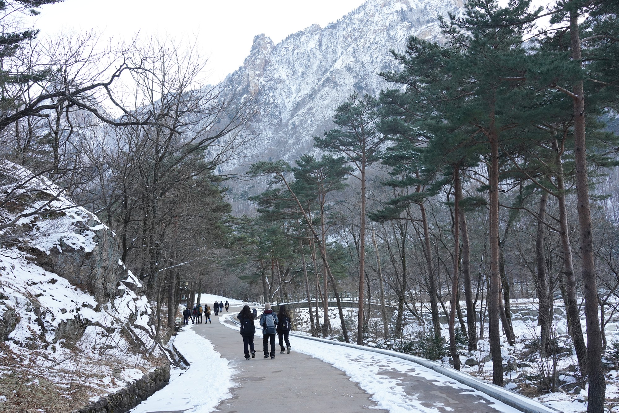 Sokcho 3 (55)