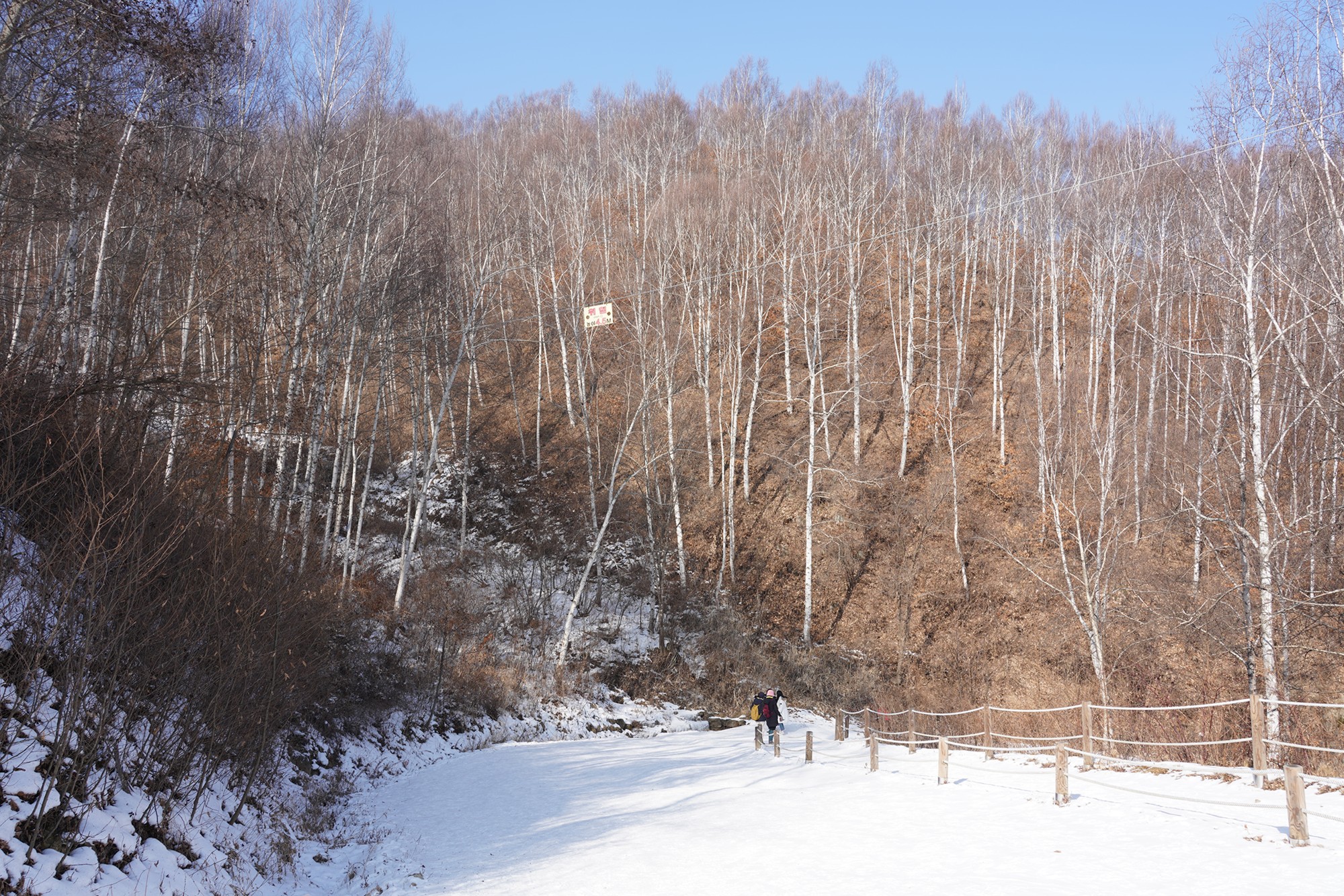 Sokcho 4 (12)