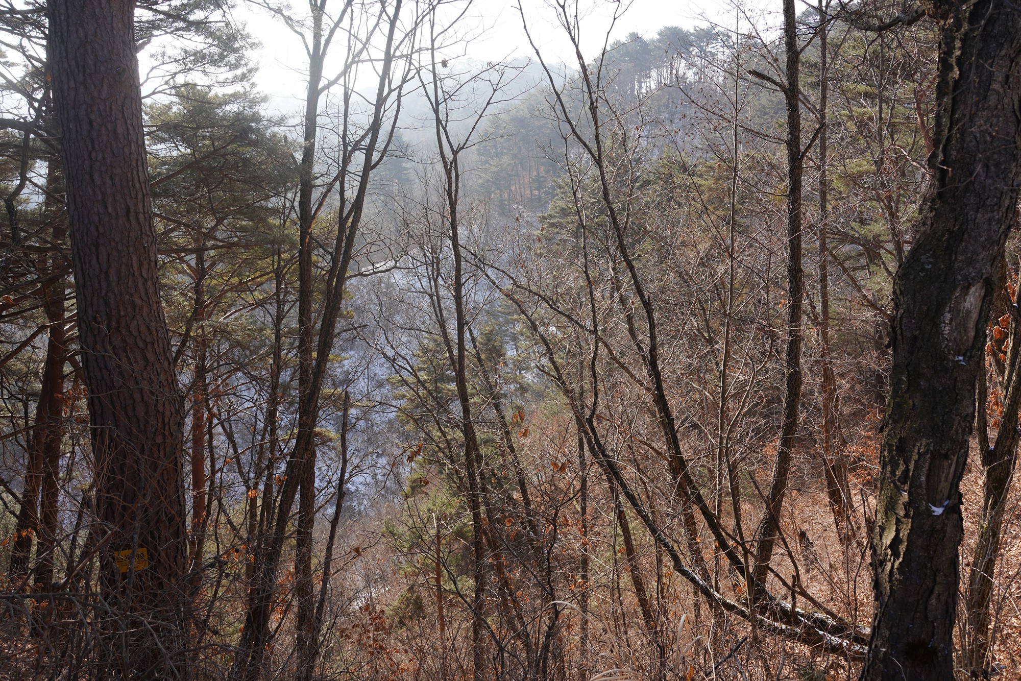 Sokcho 4 (16)