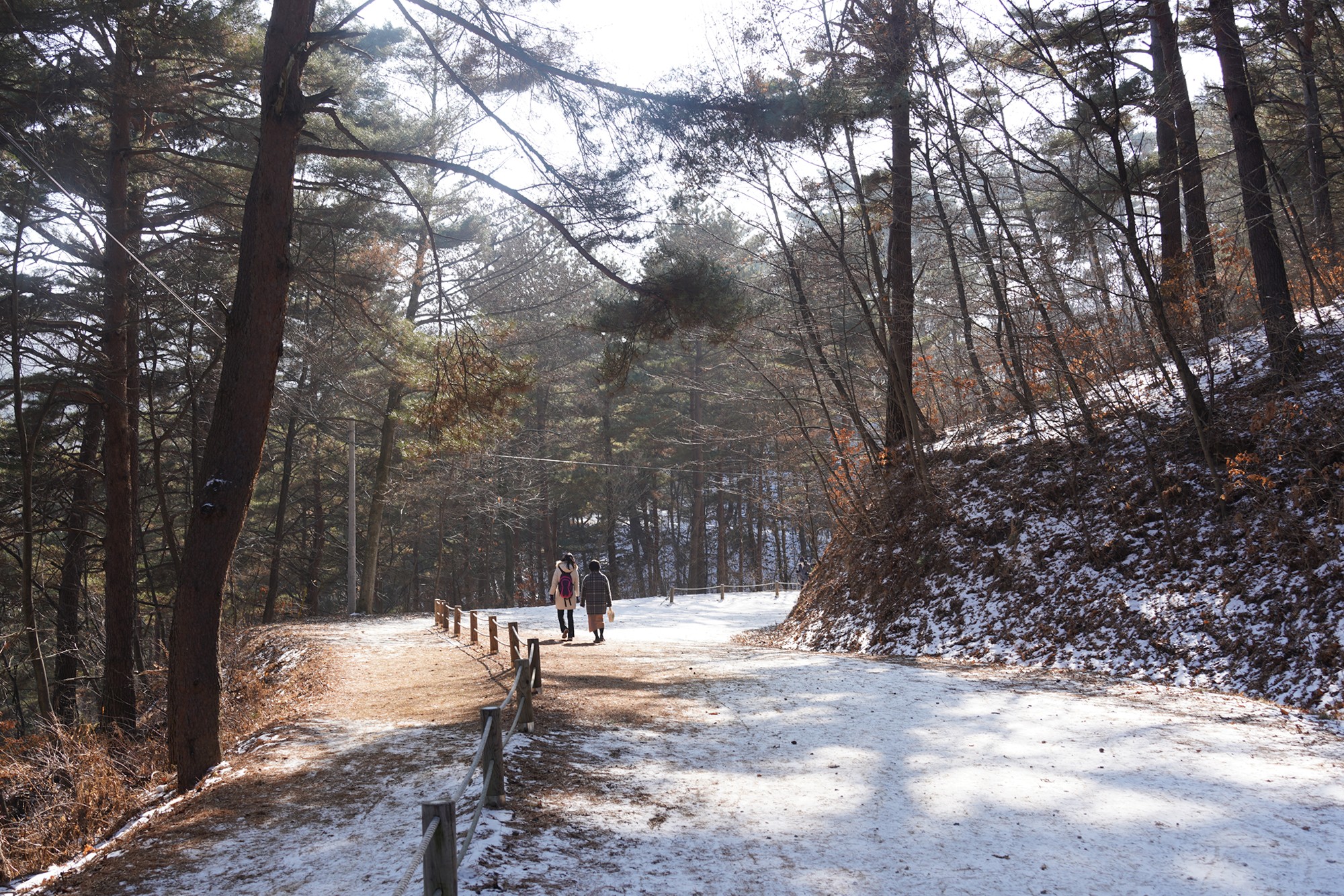 Sokcho 4 (21)