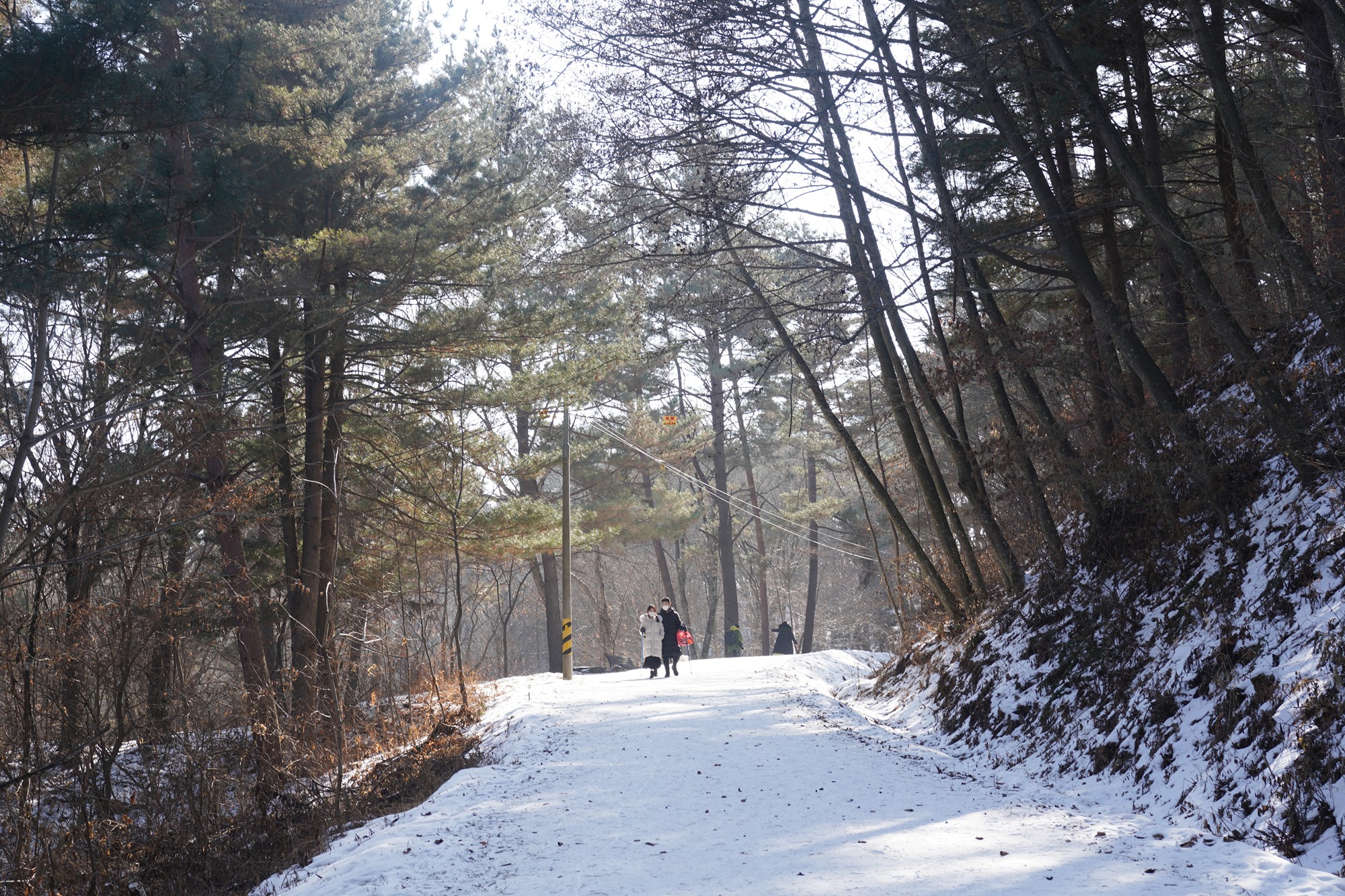 Sokcho 4 (22)