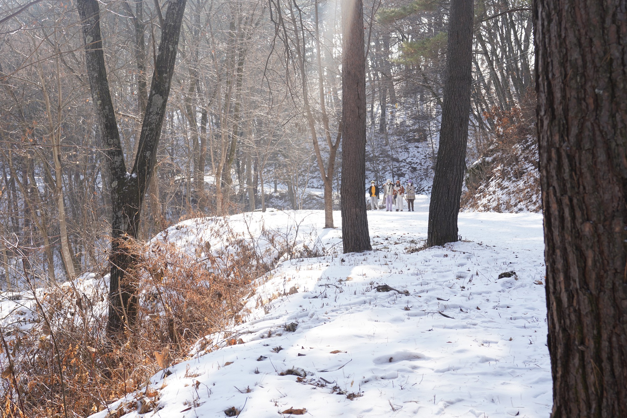 Sokcho 4 (23)