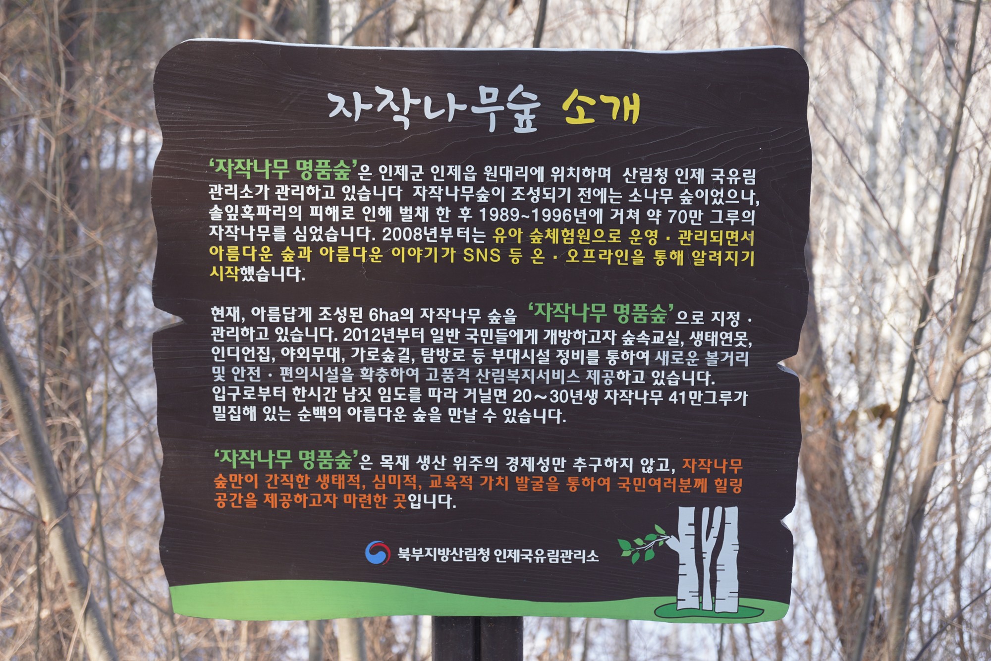 Sokcho 4 (26)