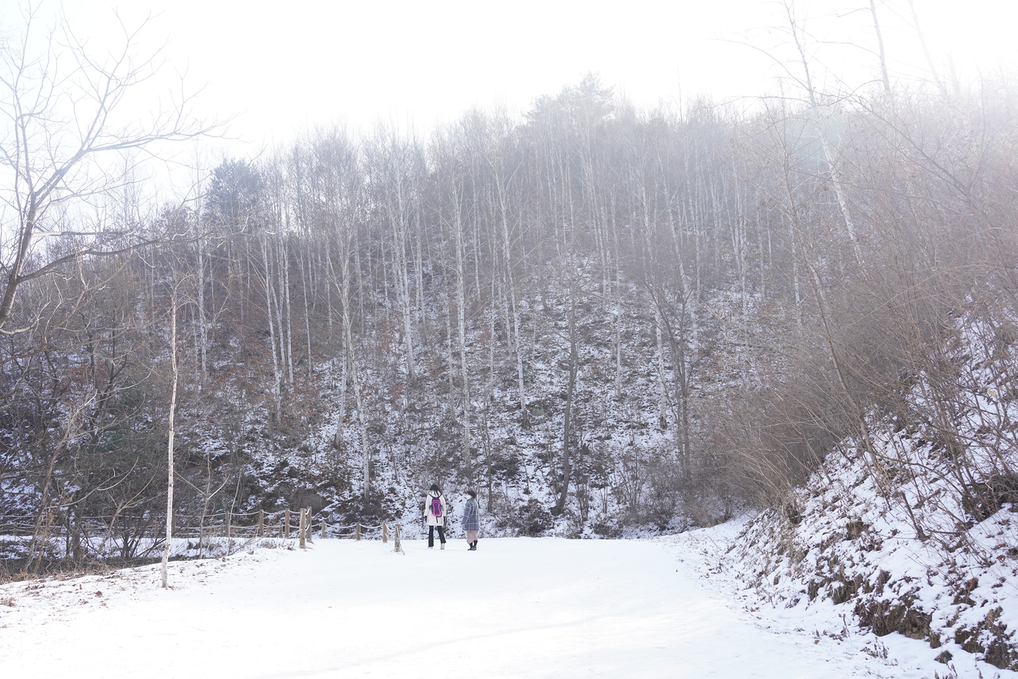 Sokcho 4 (3)