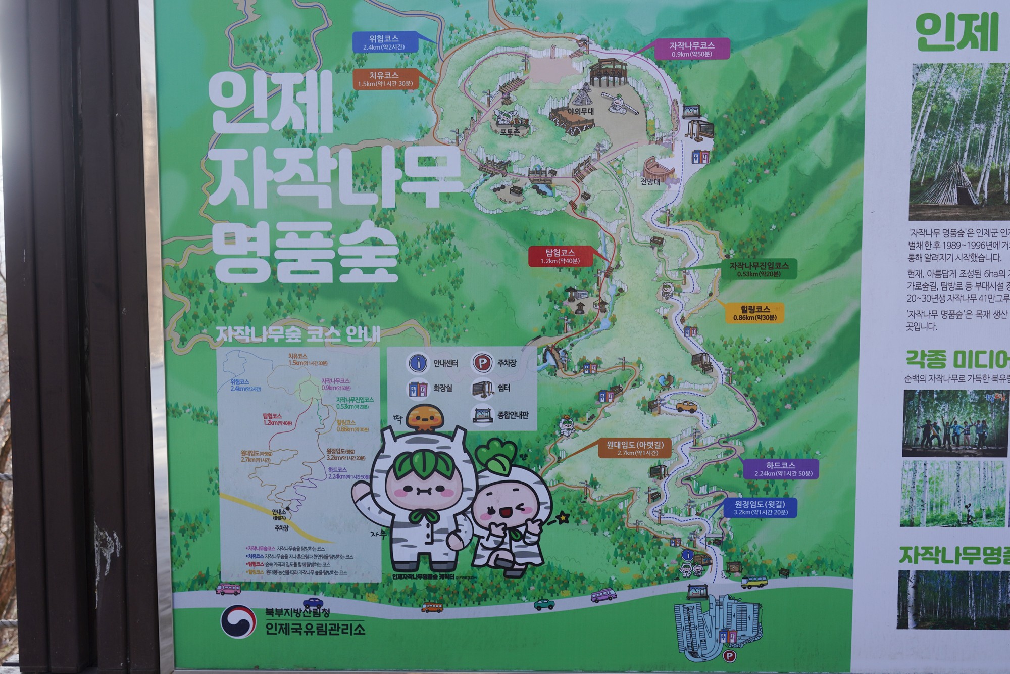 Sokcho 4 (27)