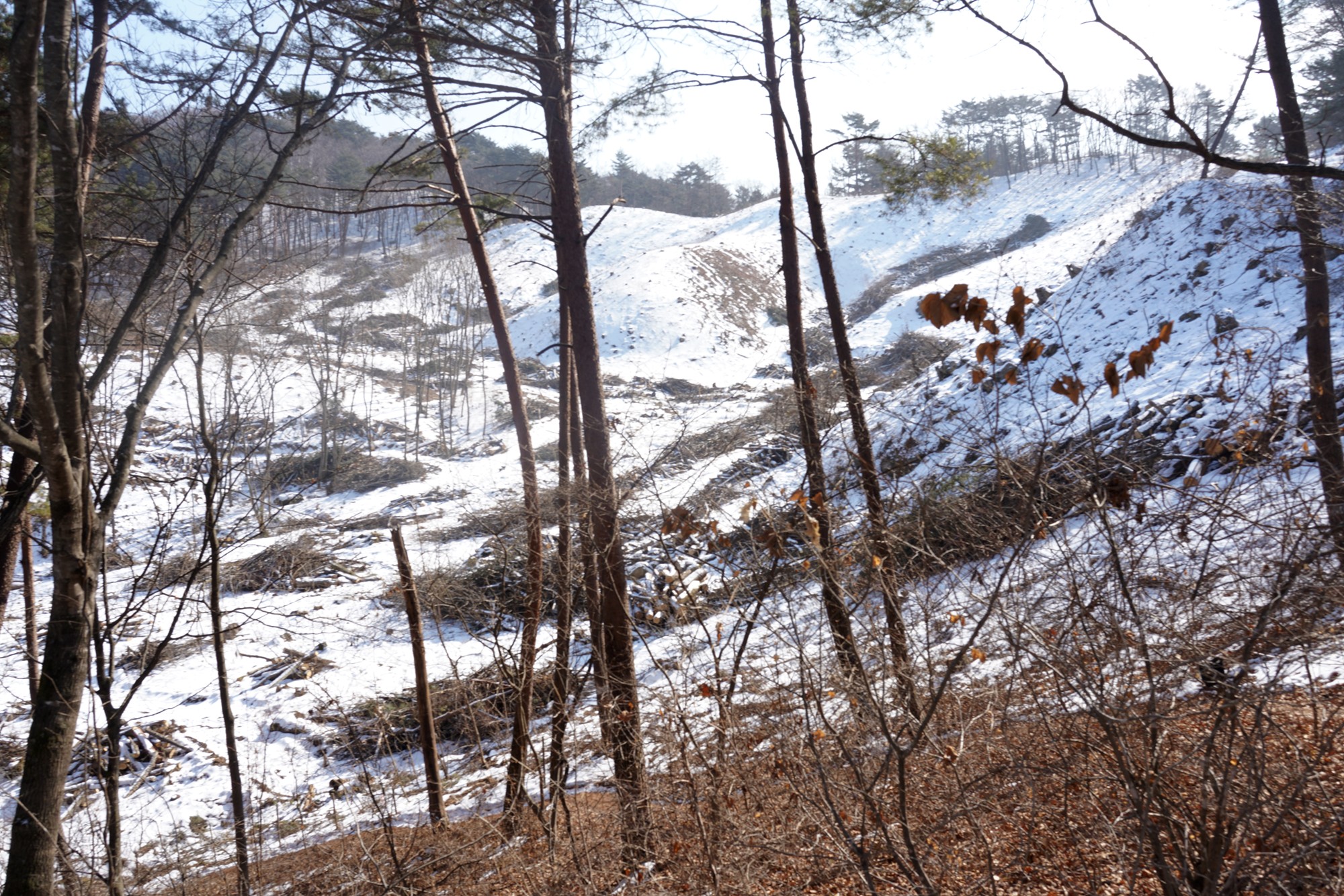 Sokcho 4 (35)
