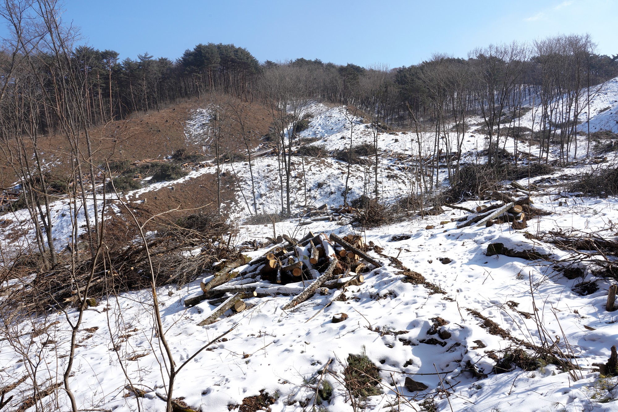 Sokcho 4 (36)