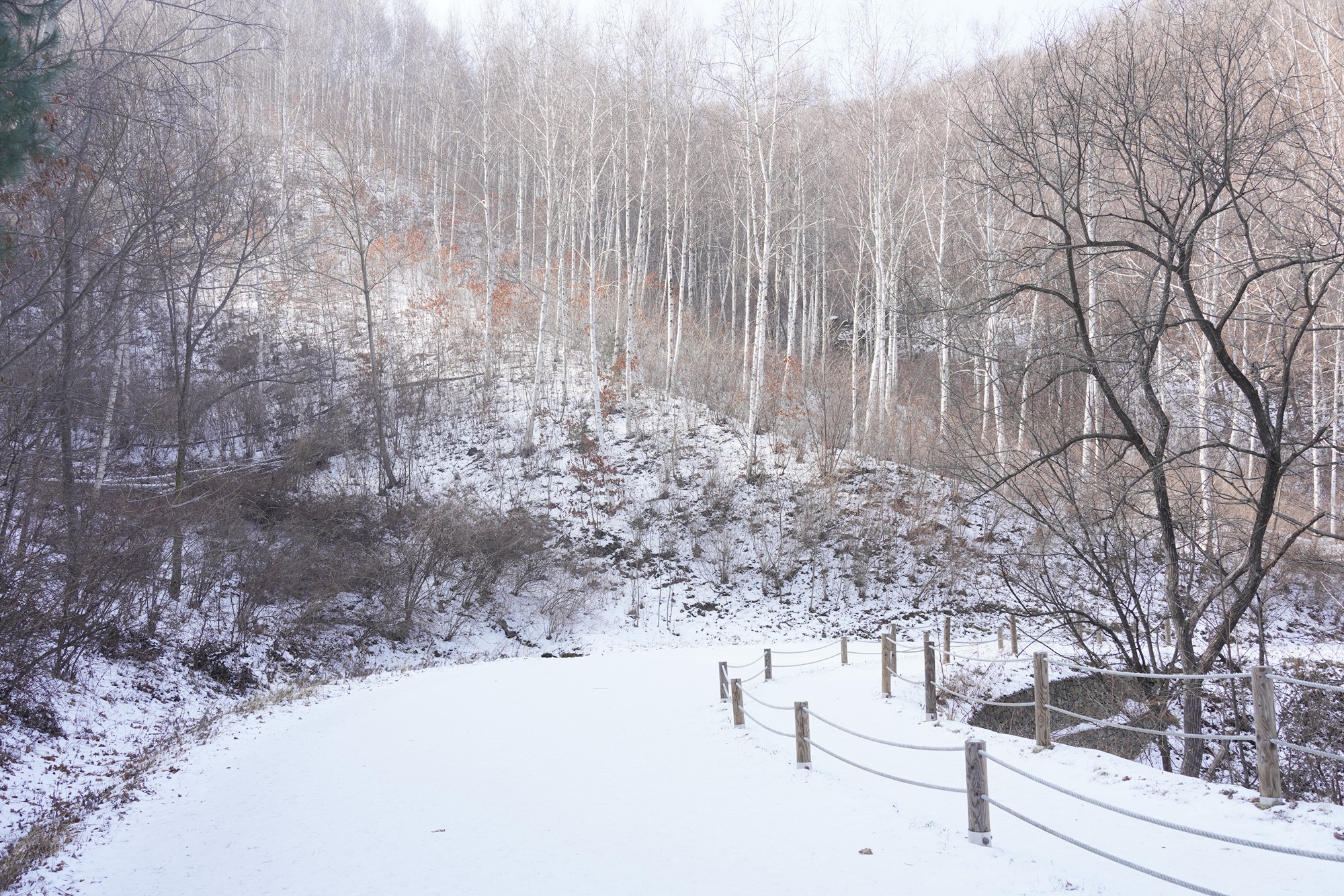 Sokcho 4 (4)