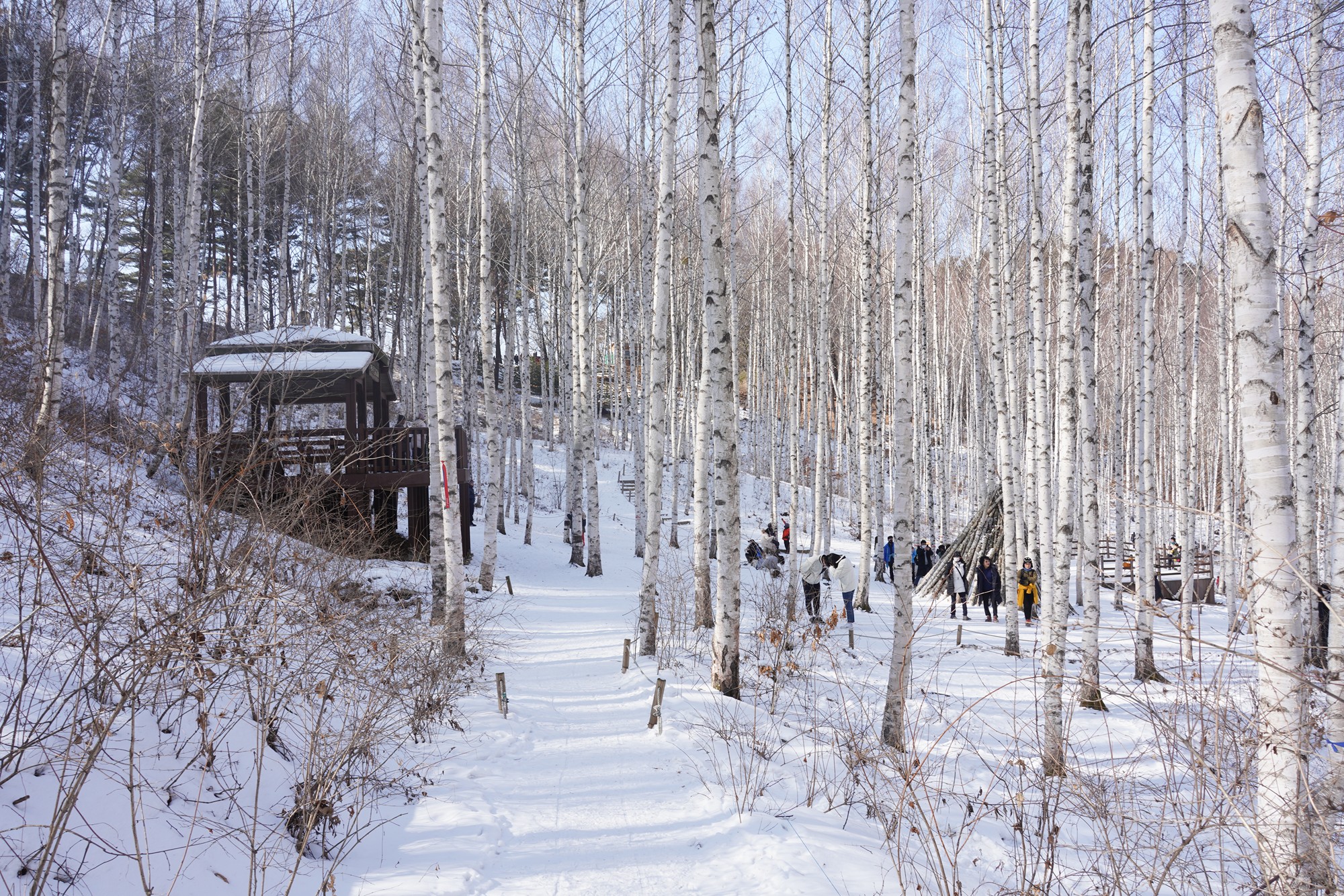 Sokcho 4 (49)
