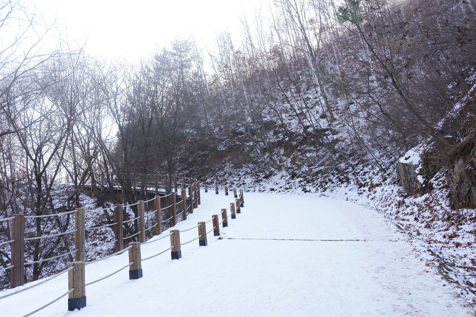 Sokcho 4 (5)