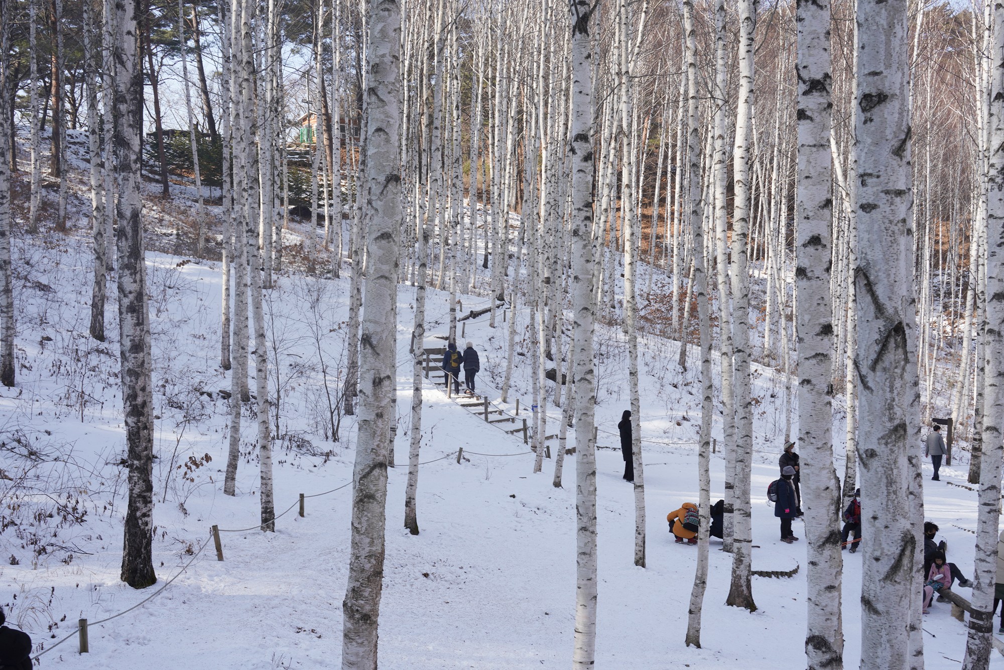 Sokcho 4 (61)