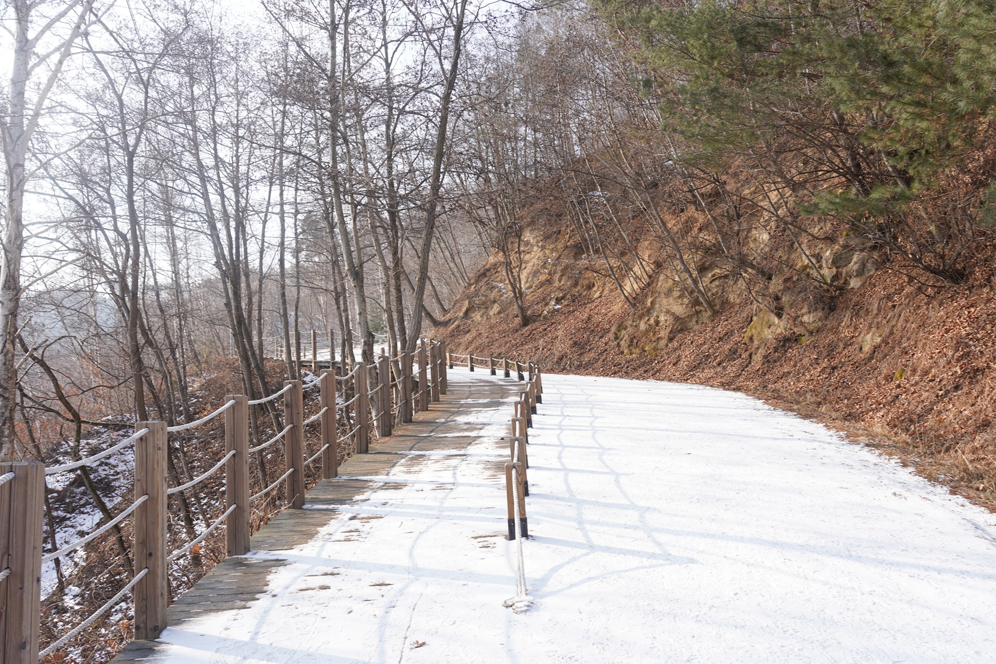 Sokcho 4 (8)