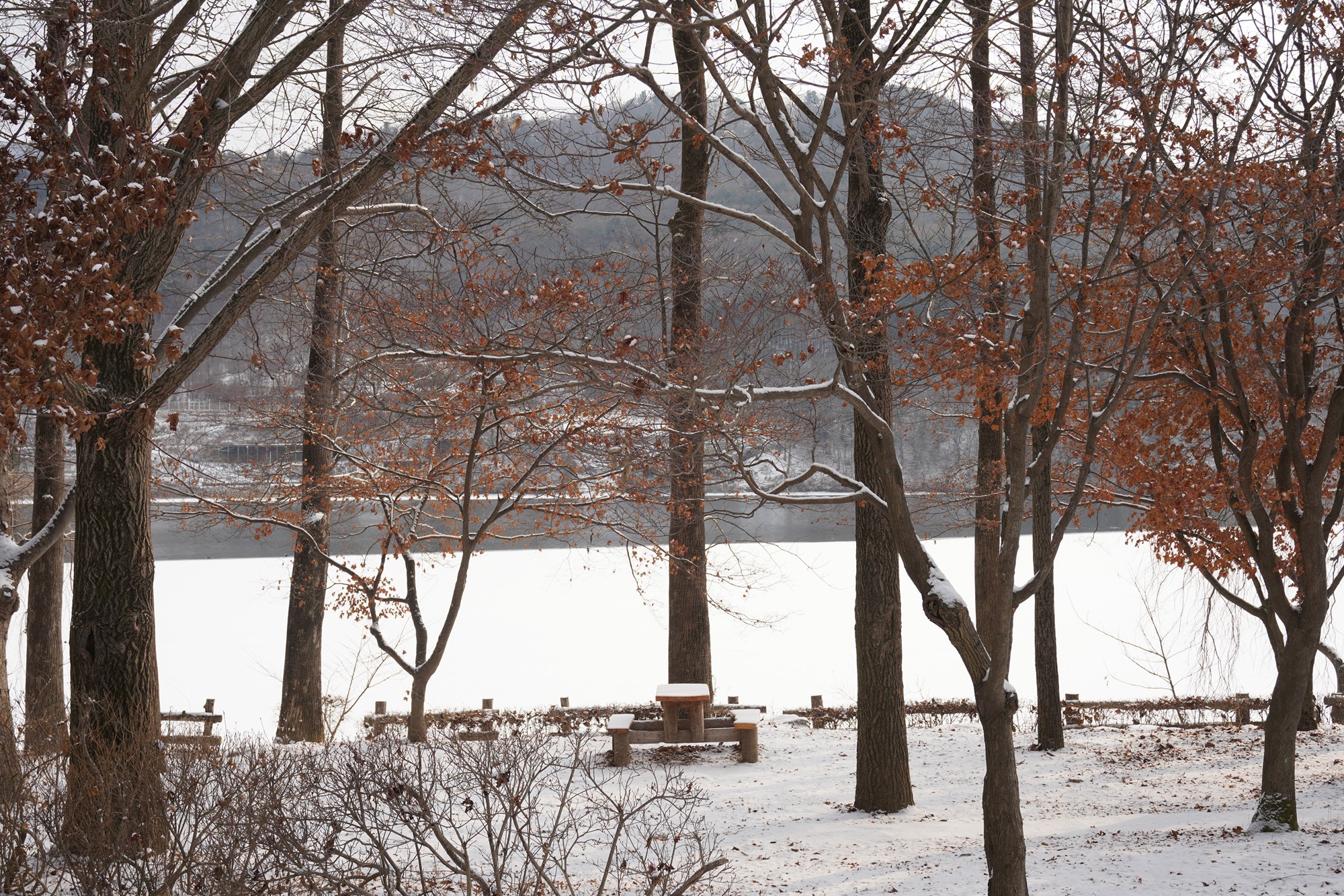 Chuncheon 2 (11)