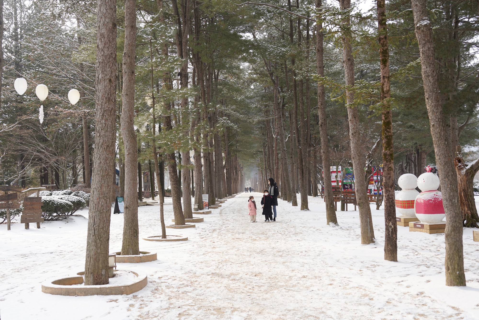Chuncheon 2 (13)