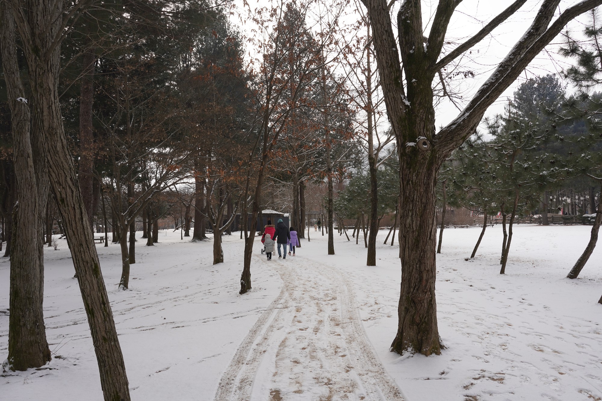 Chuncheon 2 (16)