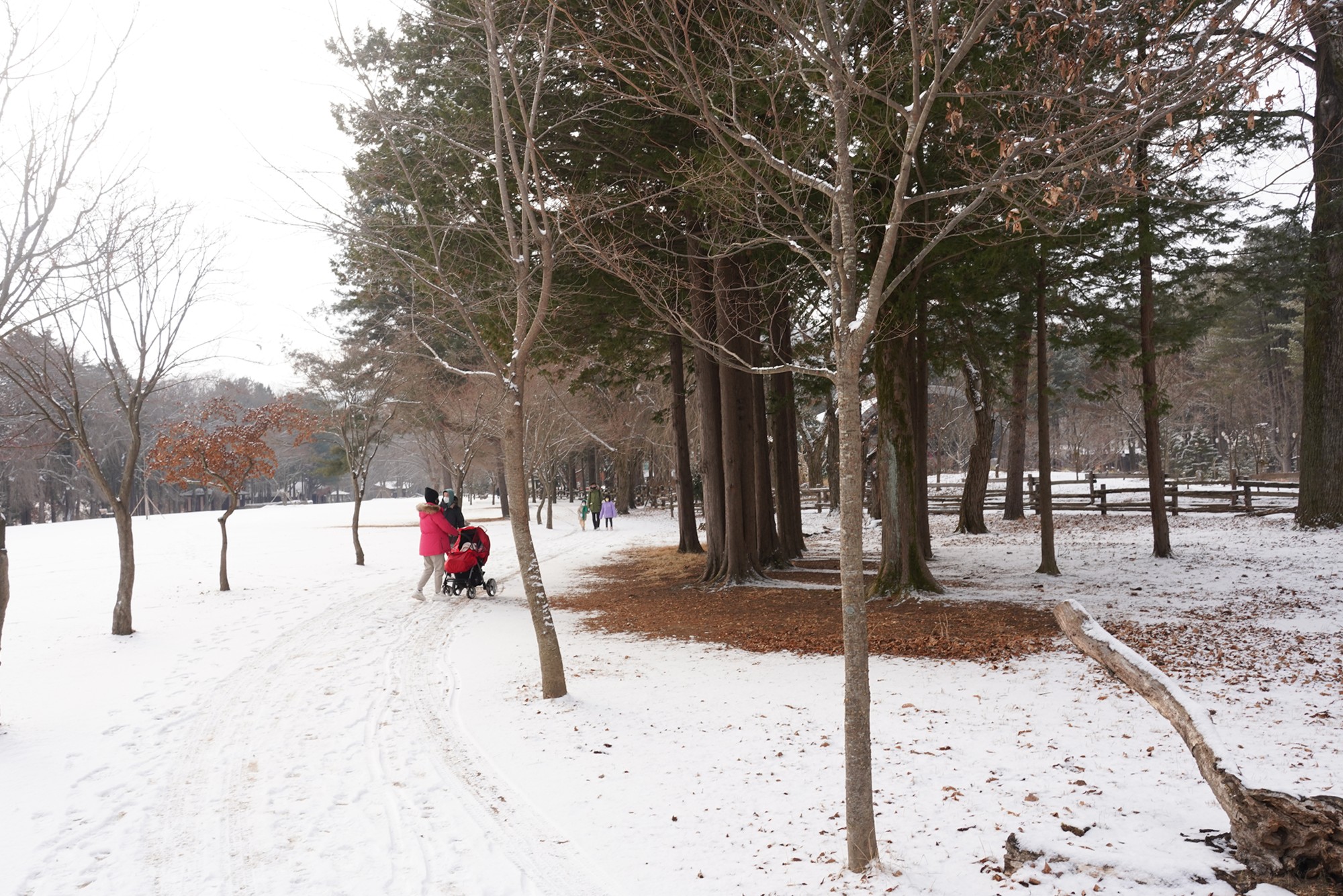 Chuncheon 2 (18)