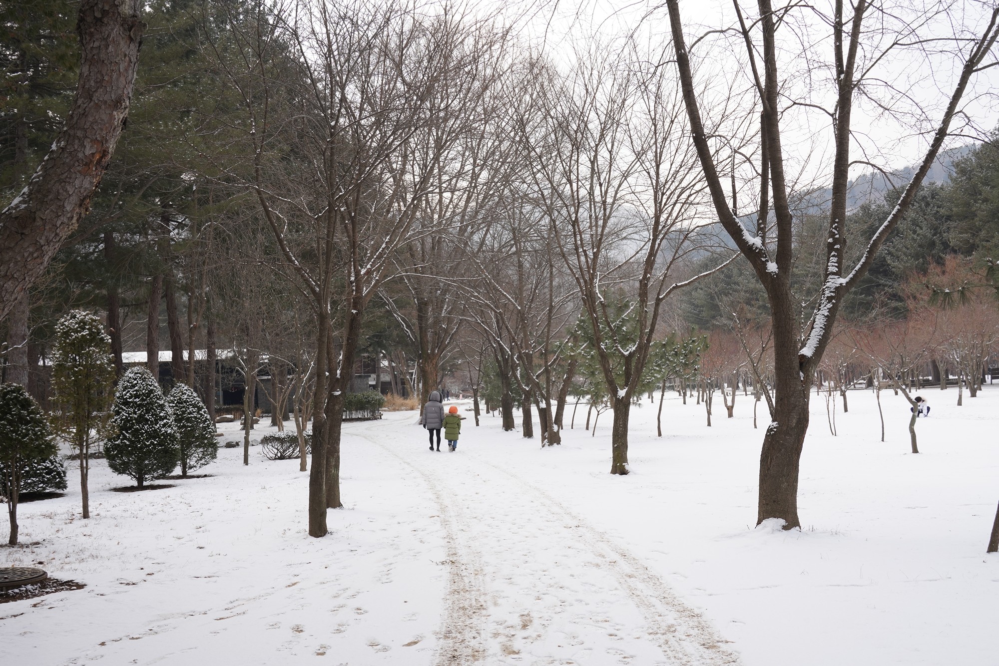 Chuncheon 2 (21)