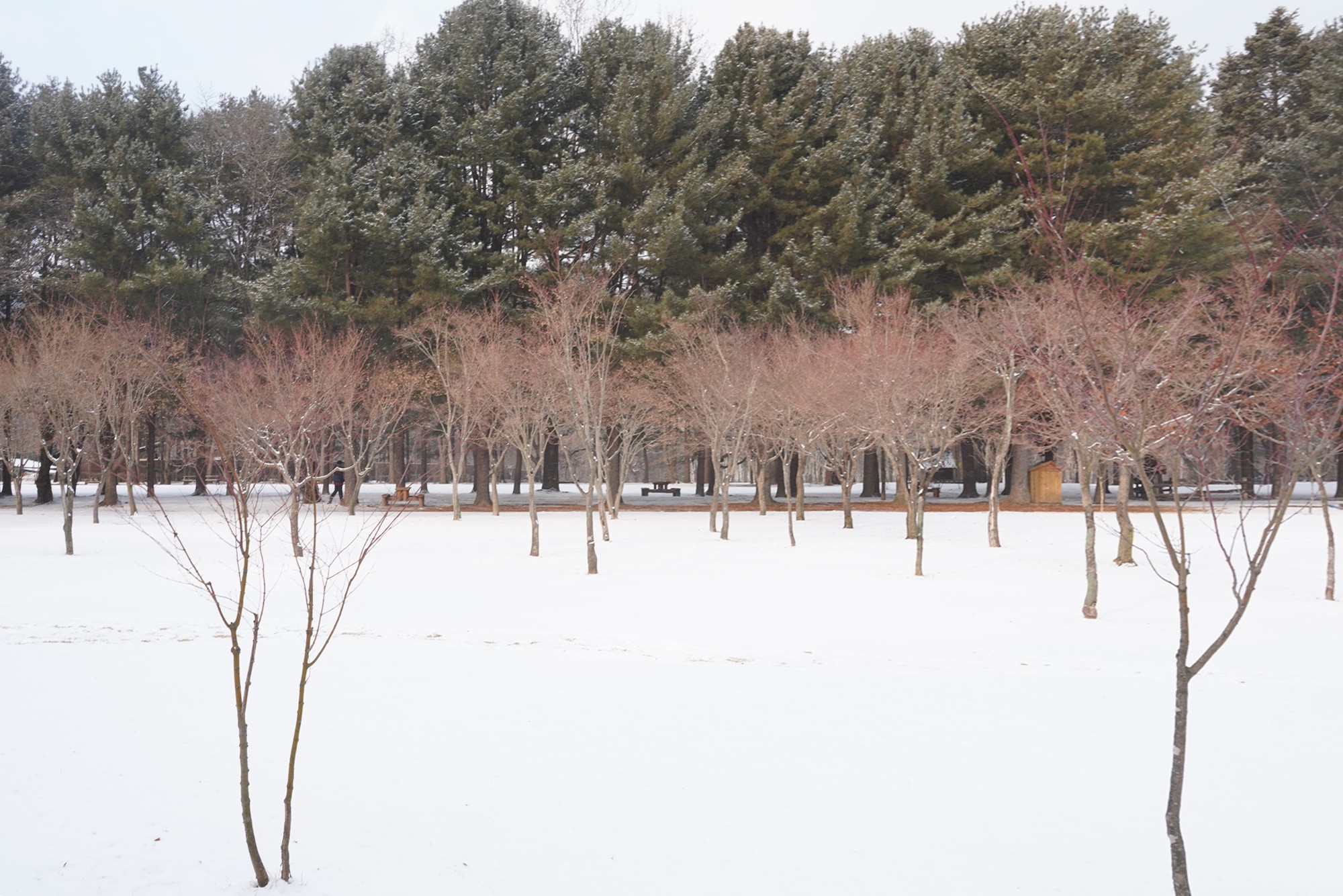 Chuncheon 2 (23)