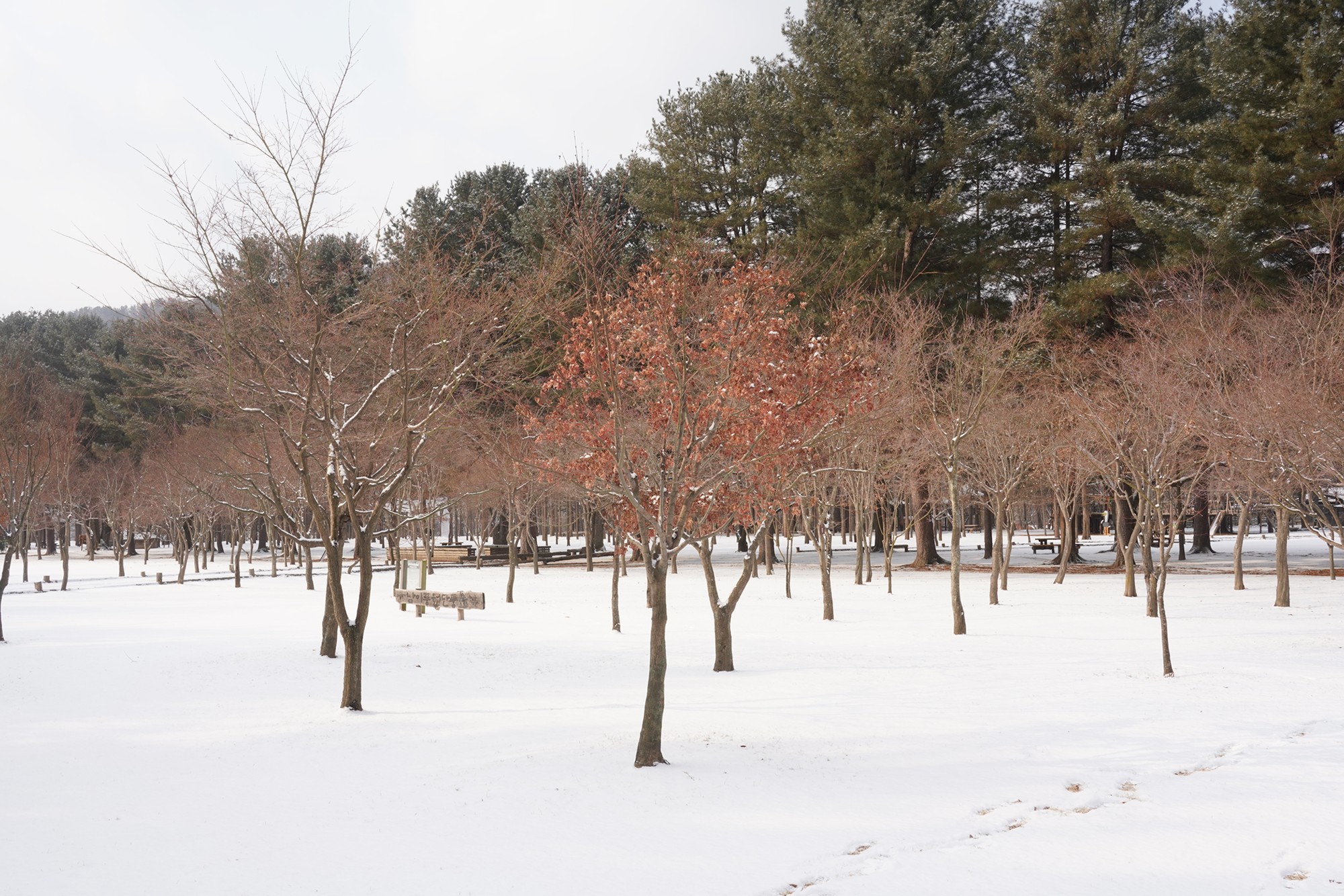Chuncheon 2 (24)