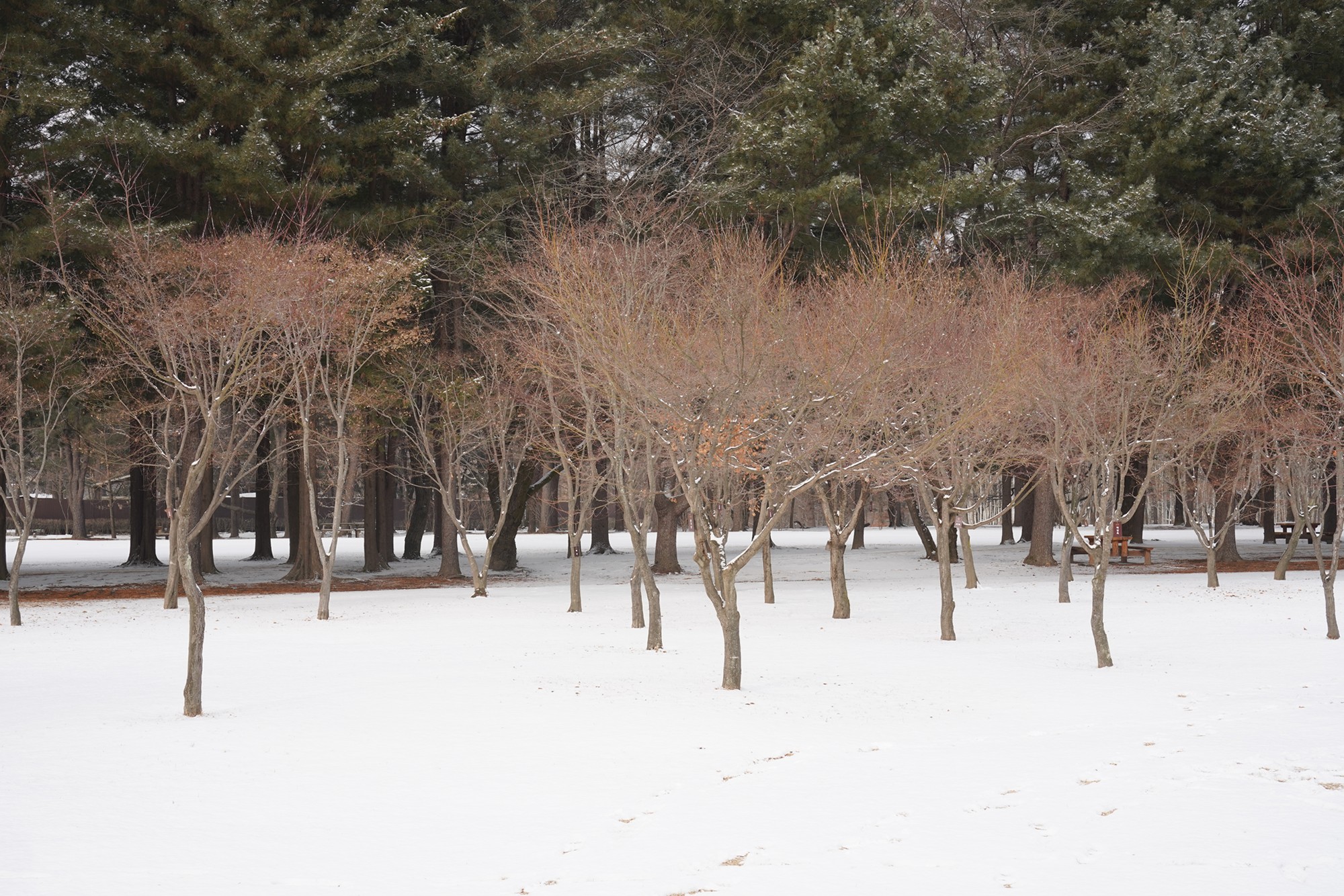 Chuncheon 2 (25)