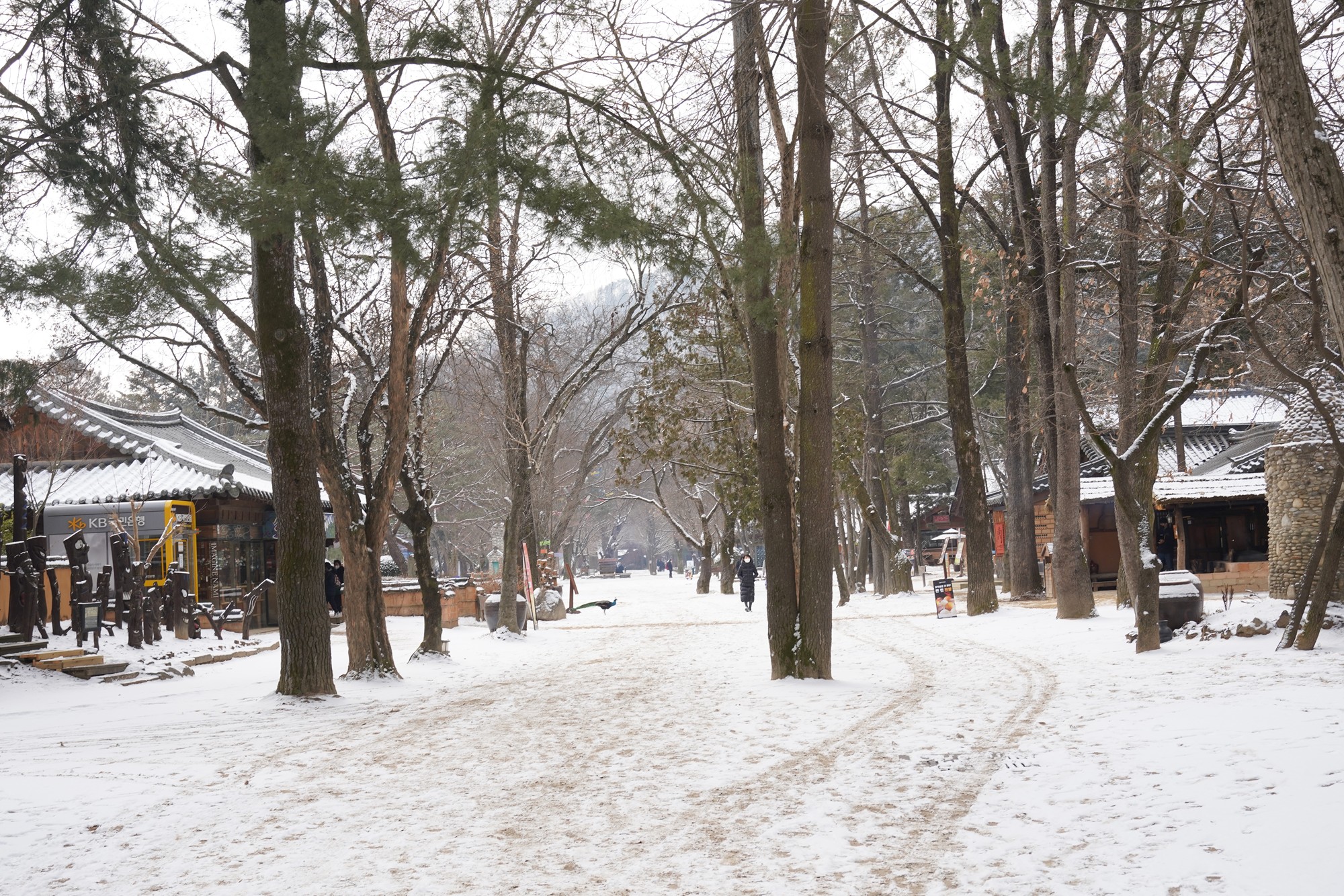 Chuncheon 2 (31)