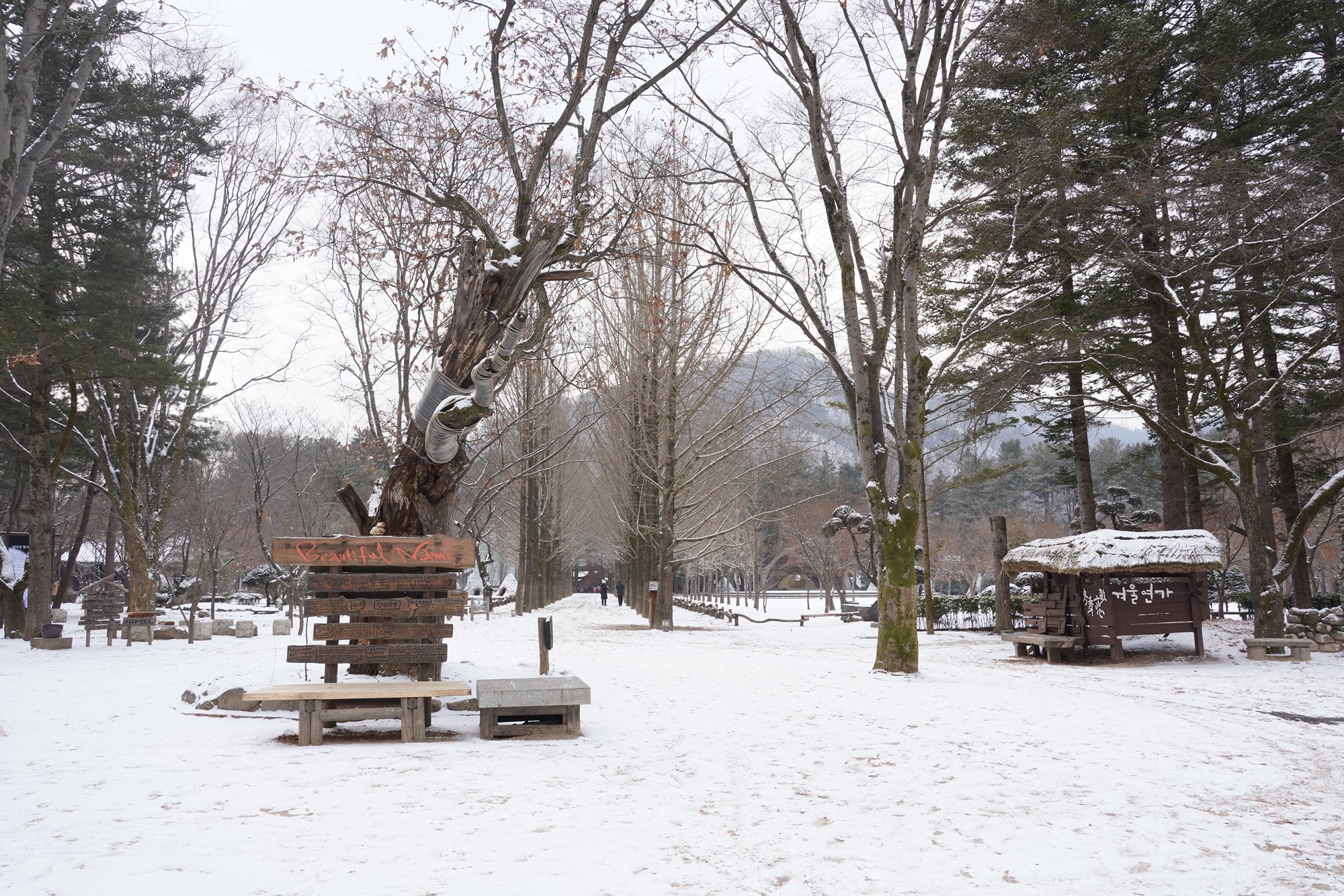 Chuncheon 2 (34)