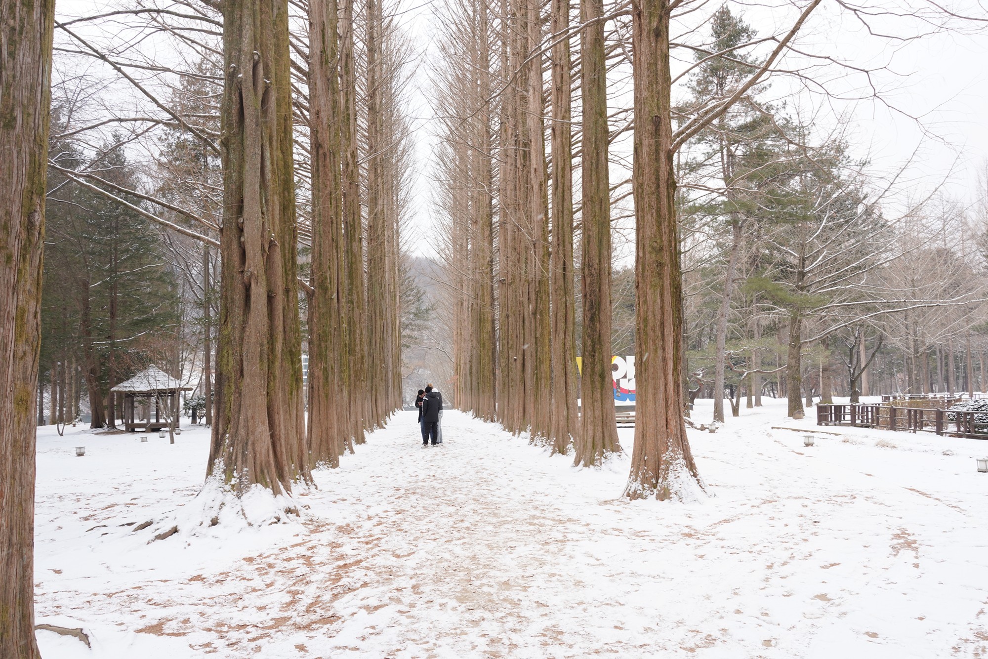 Chuncheon 2 (38)