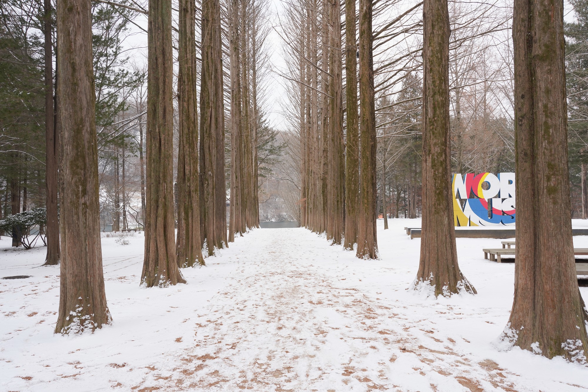 Chuncheon 2 (39)