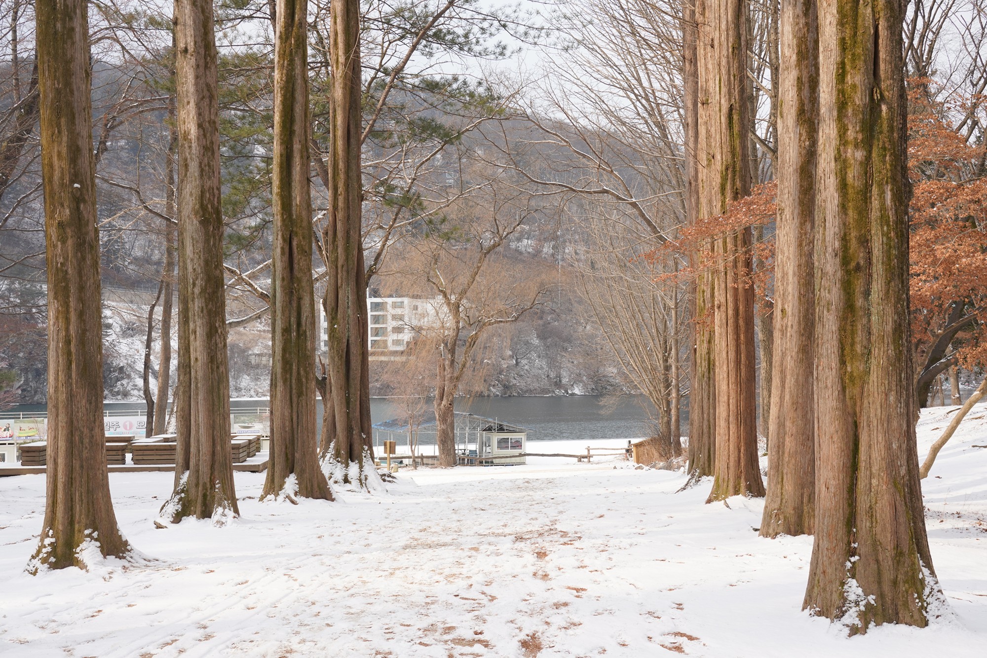 Chuncheon 2 (40)