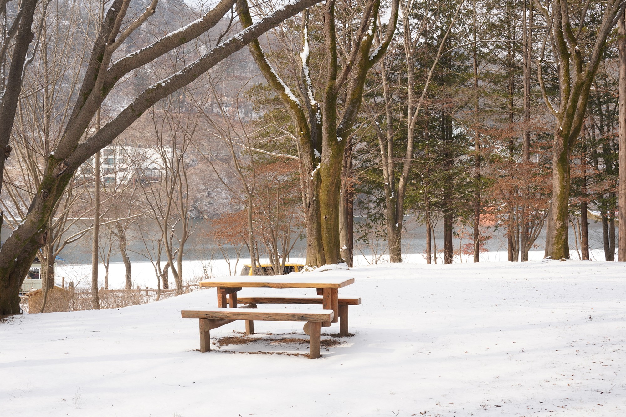 Chuncheon 2 (41)