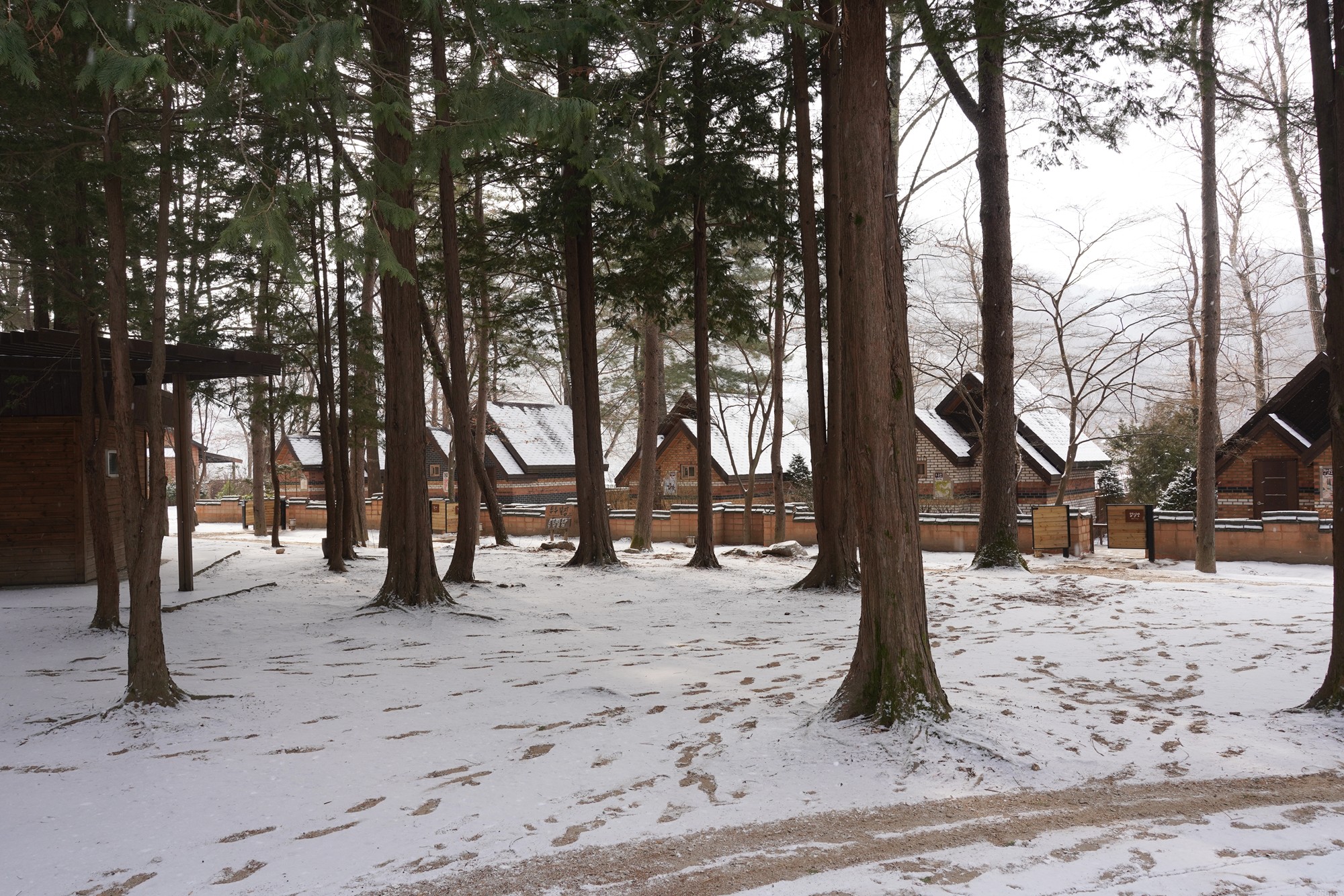 Chuncheon 2 (50)