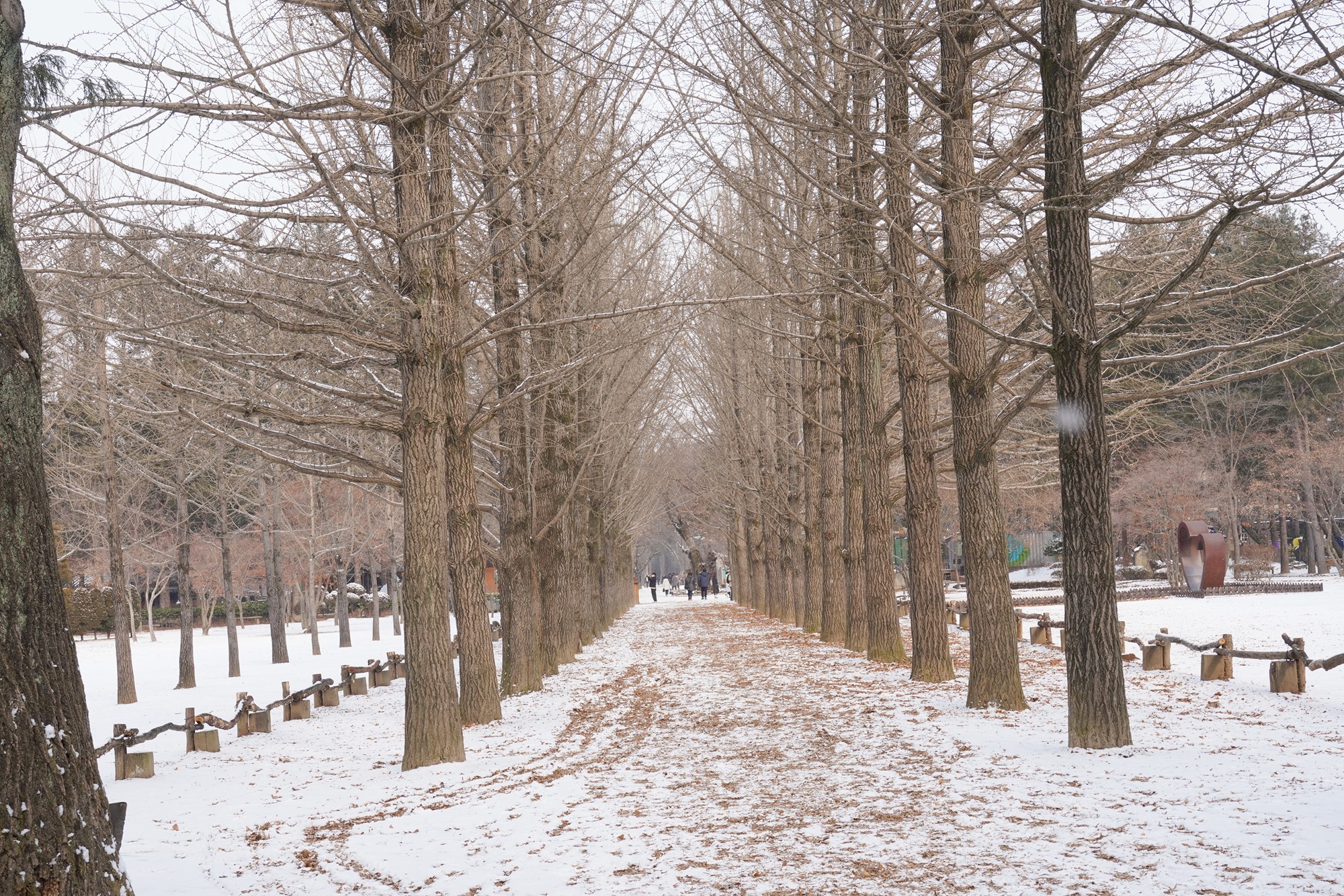 Chuncheon 2 (52)
