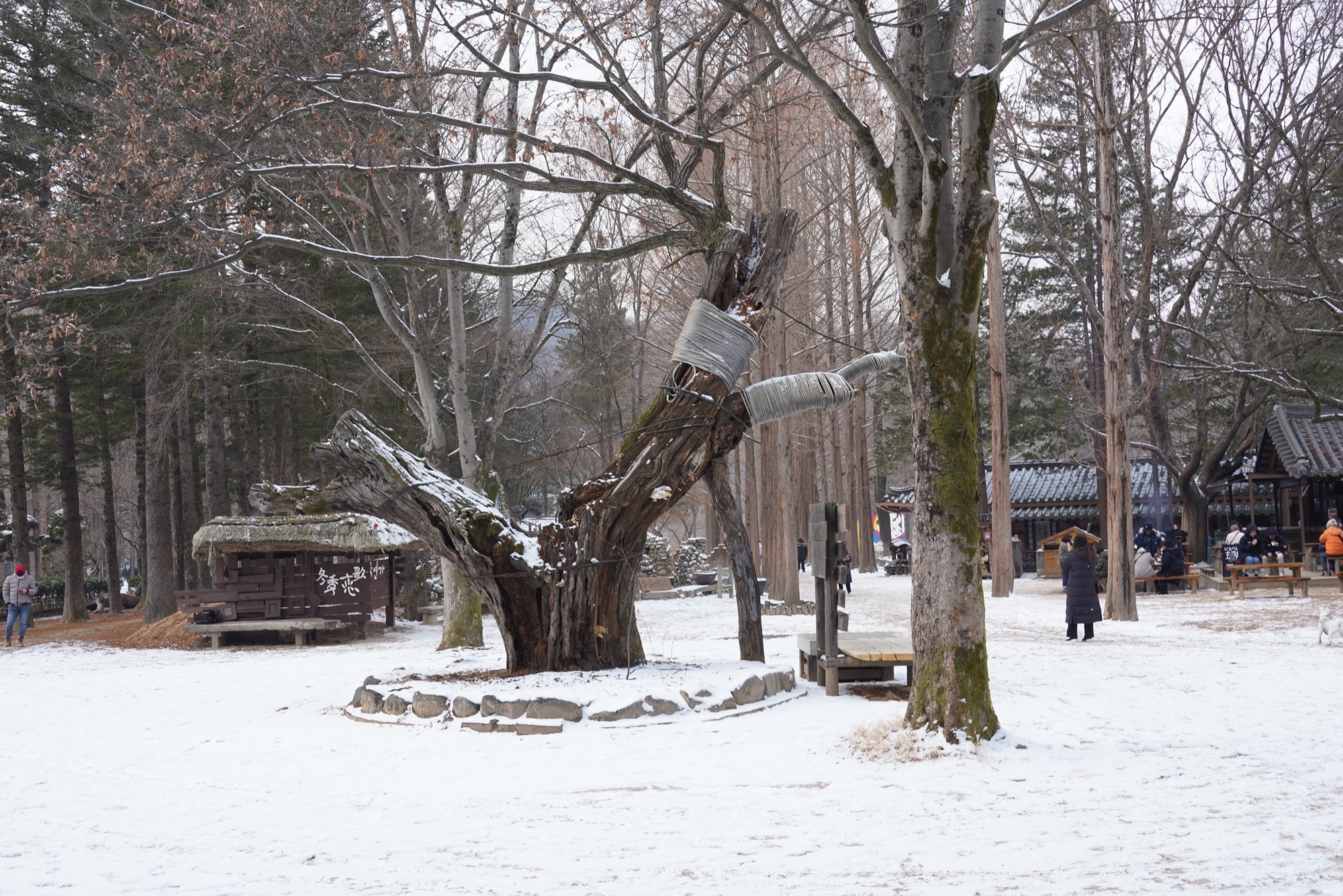 Chuncheon 2 (61)