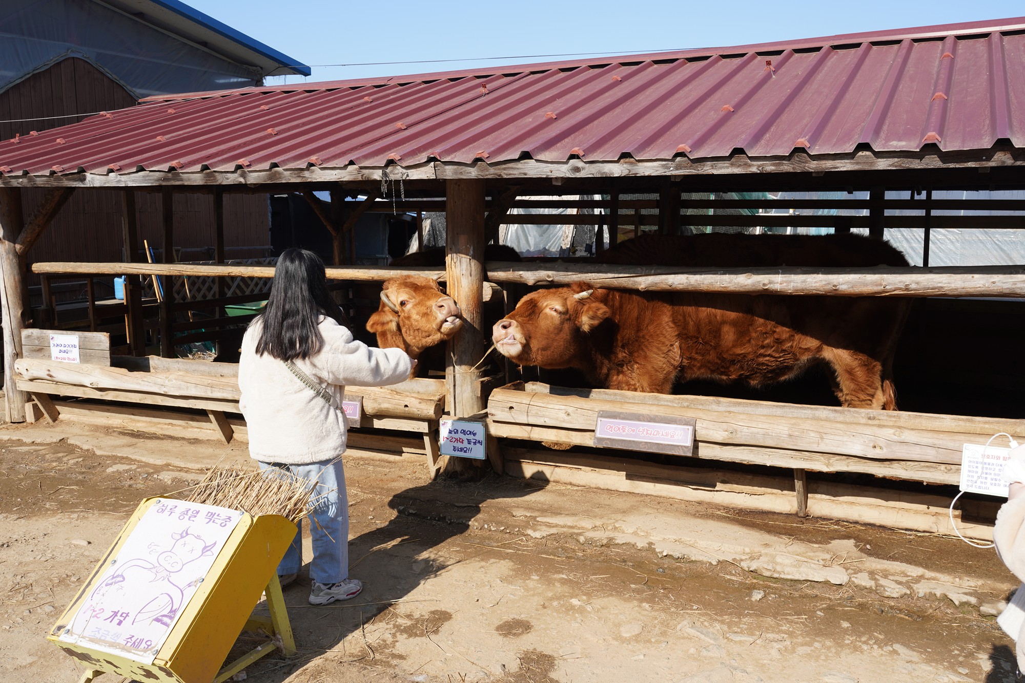 Chuncheon 3 (10)