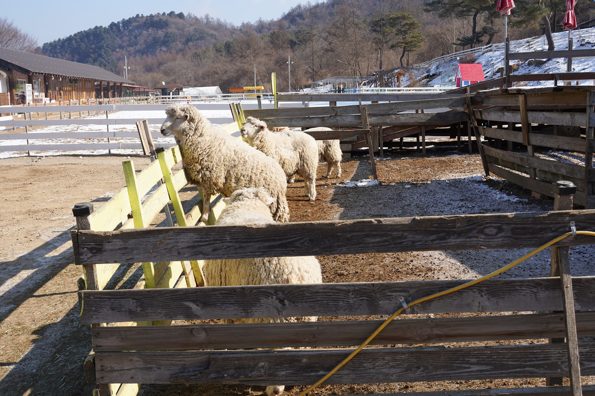 Chuncheon 3 (13)