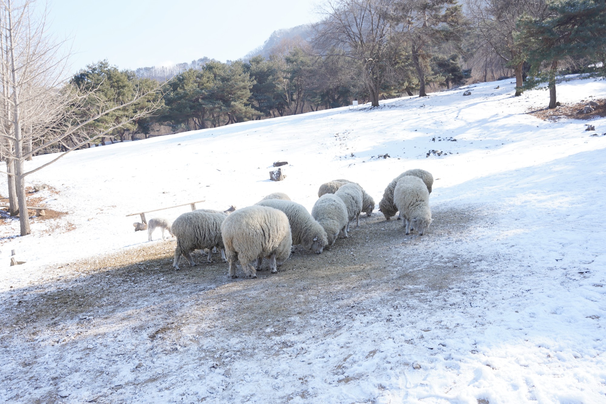 Chuncheon 3 (14)
