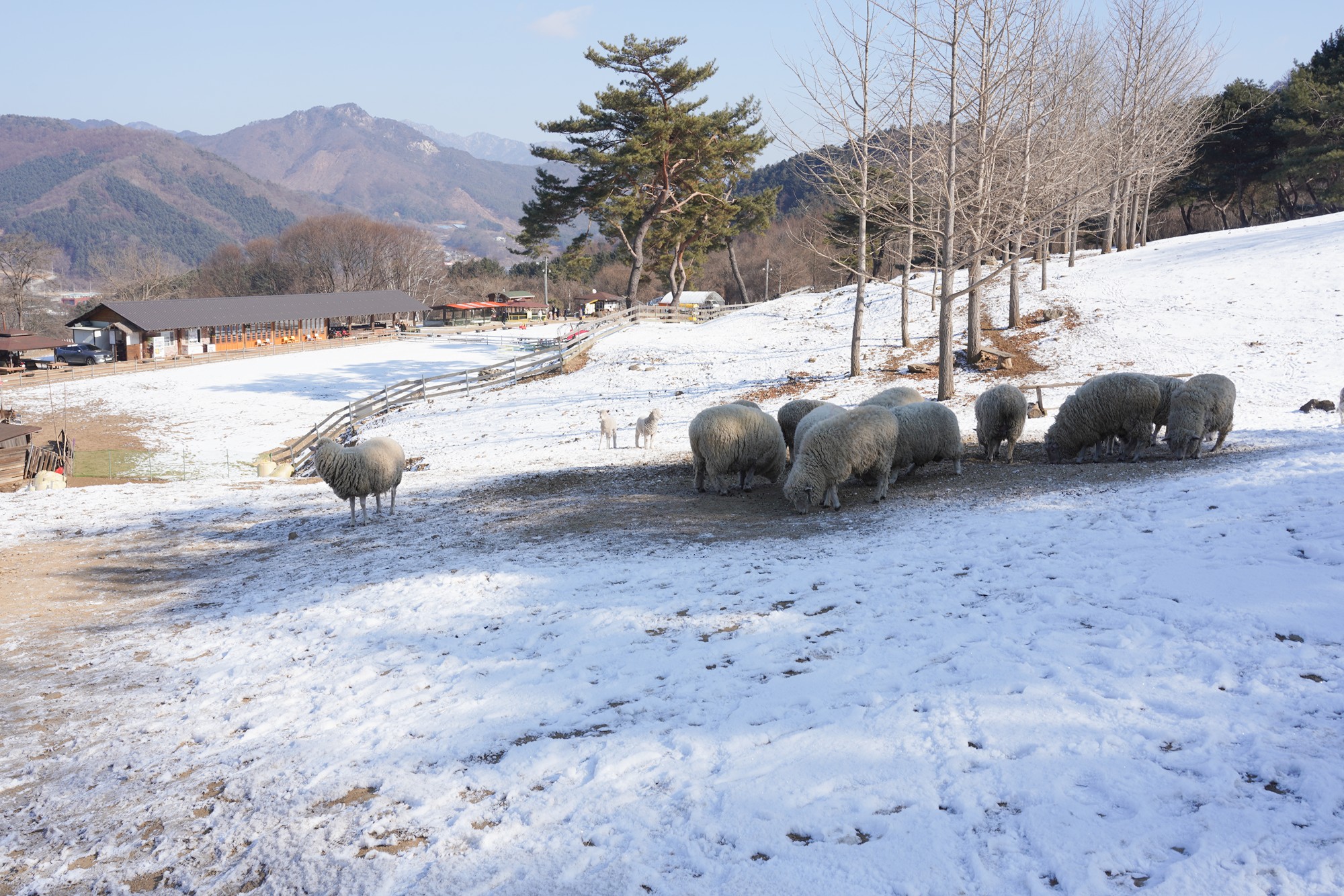 Chuncheon 3 (15)