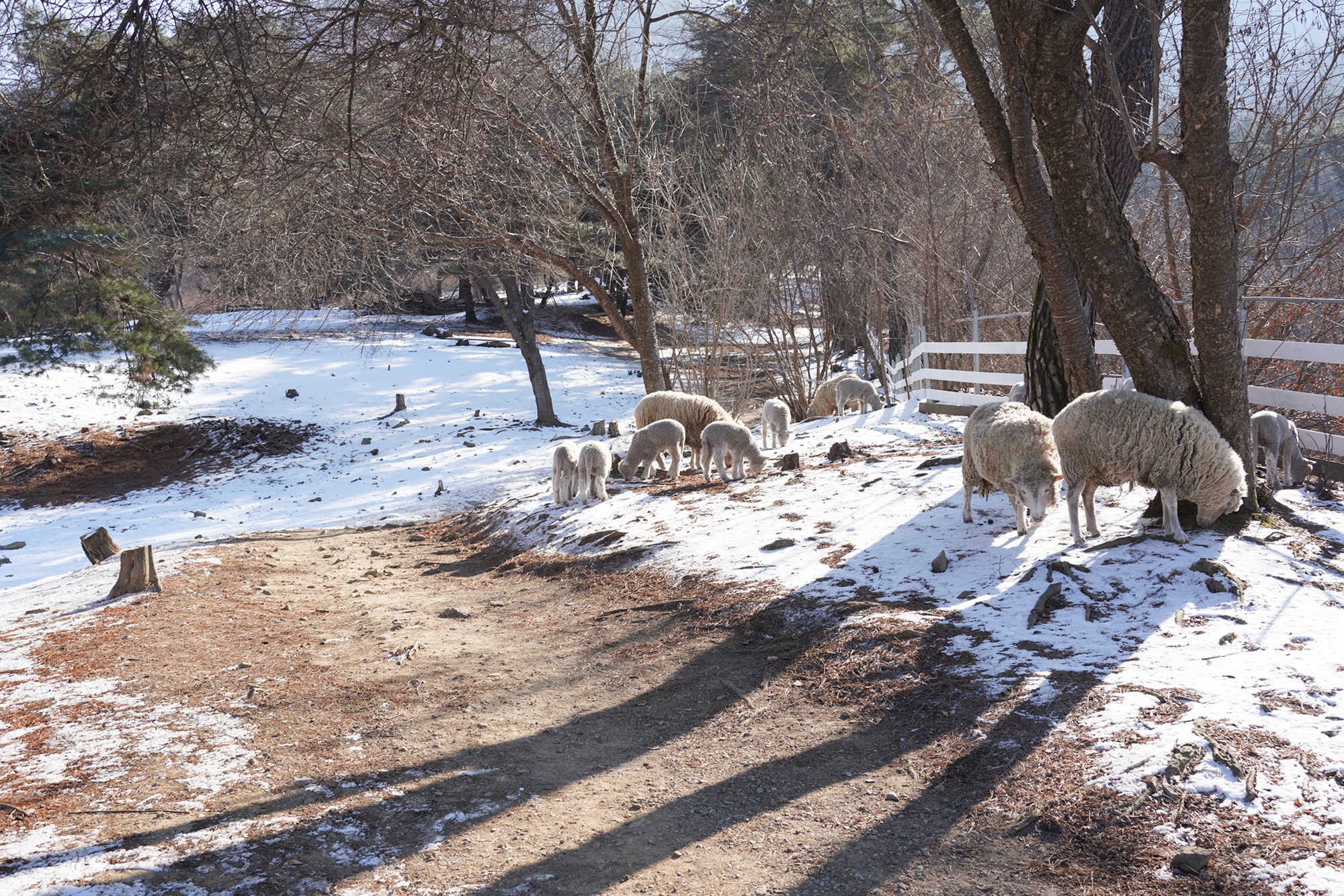 Chuncheon 3 (16)