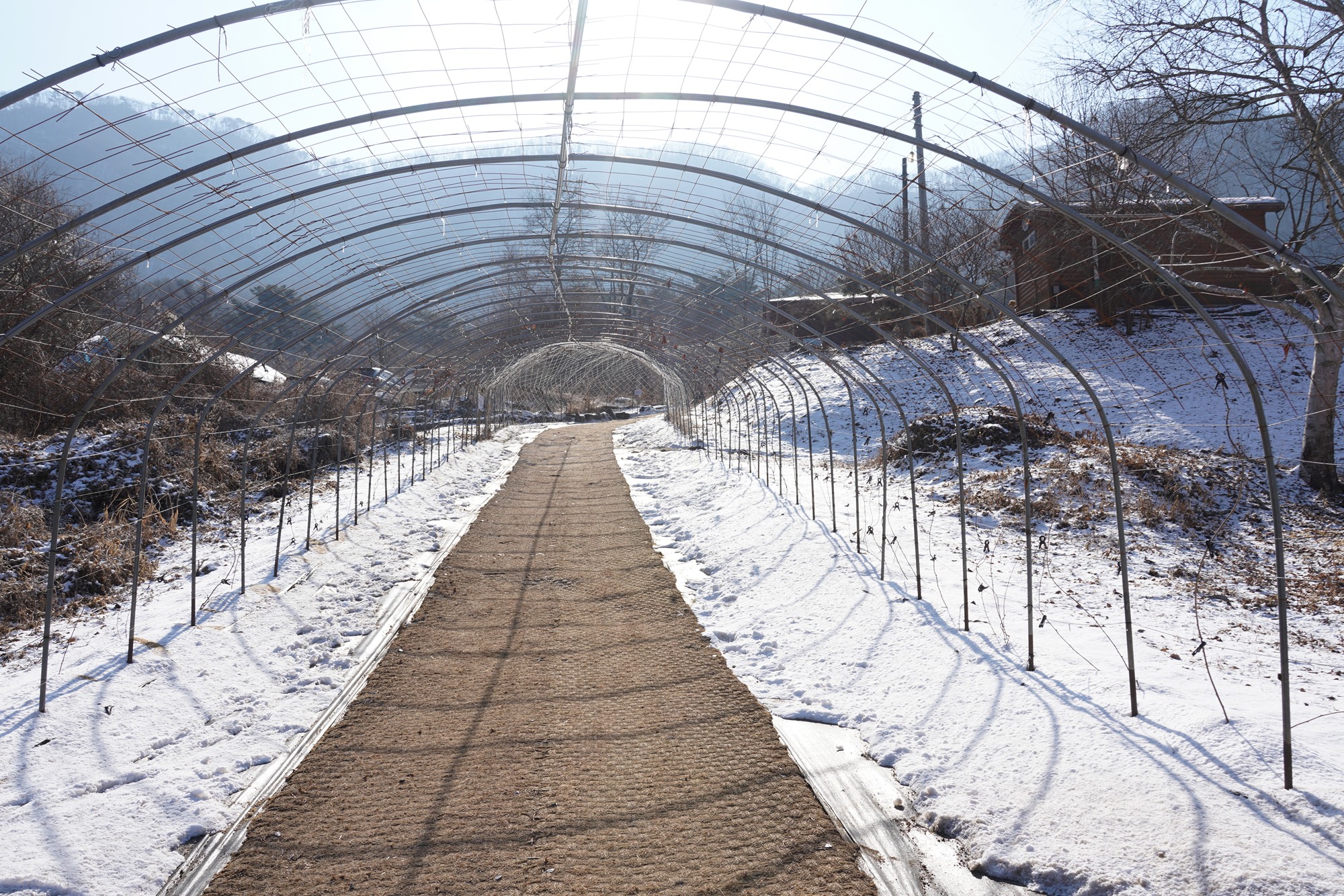 Chuncheon 3 (3)