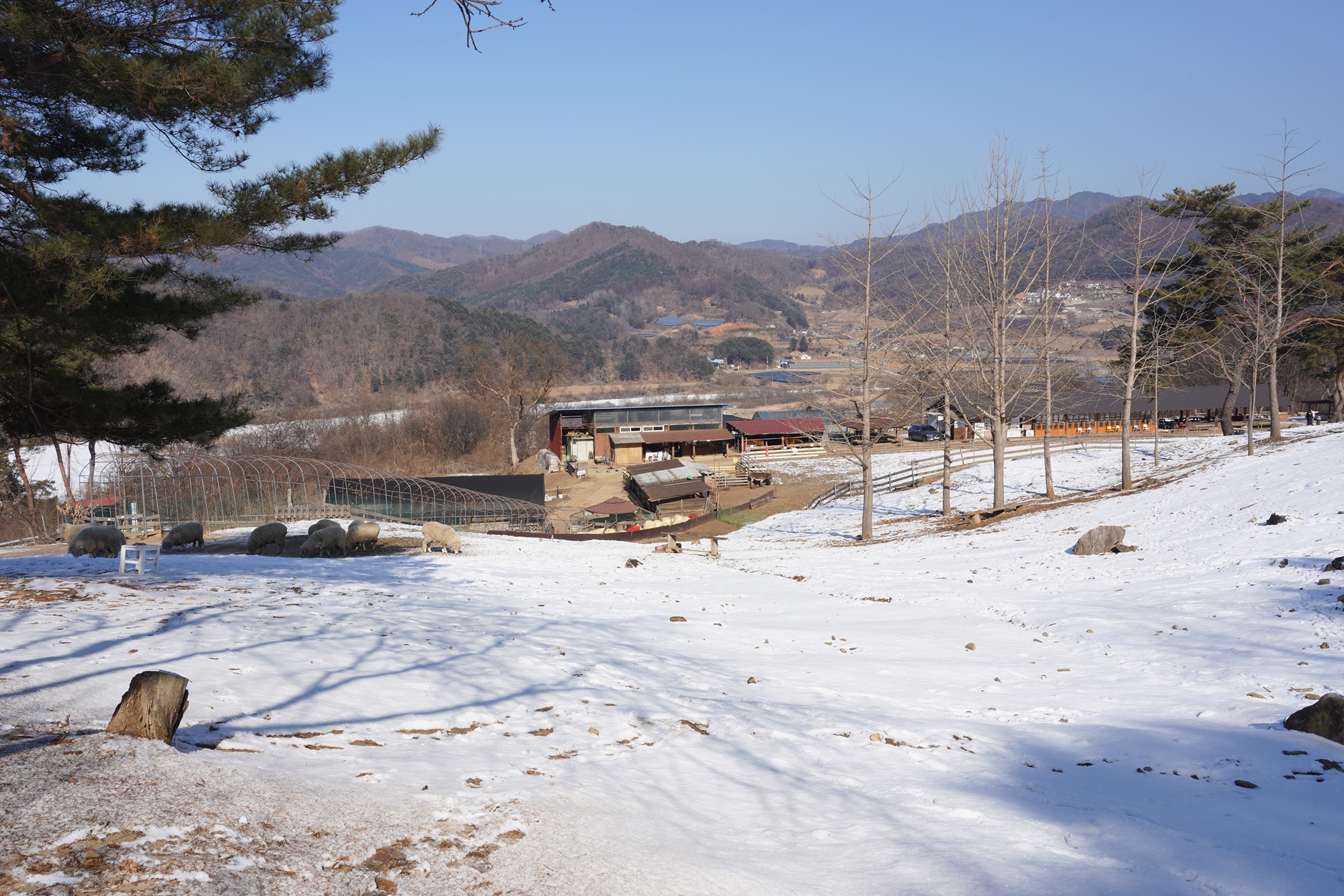 Chuncheon 3 (31)