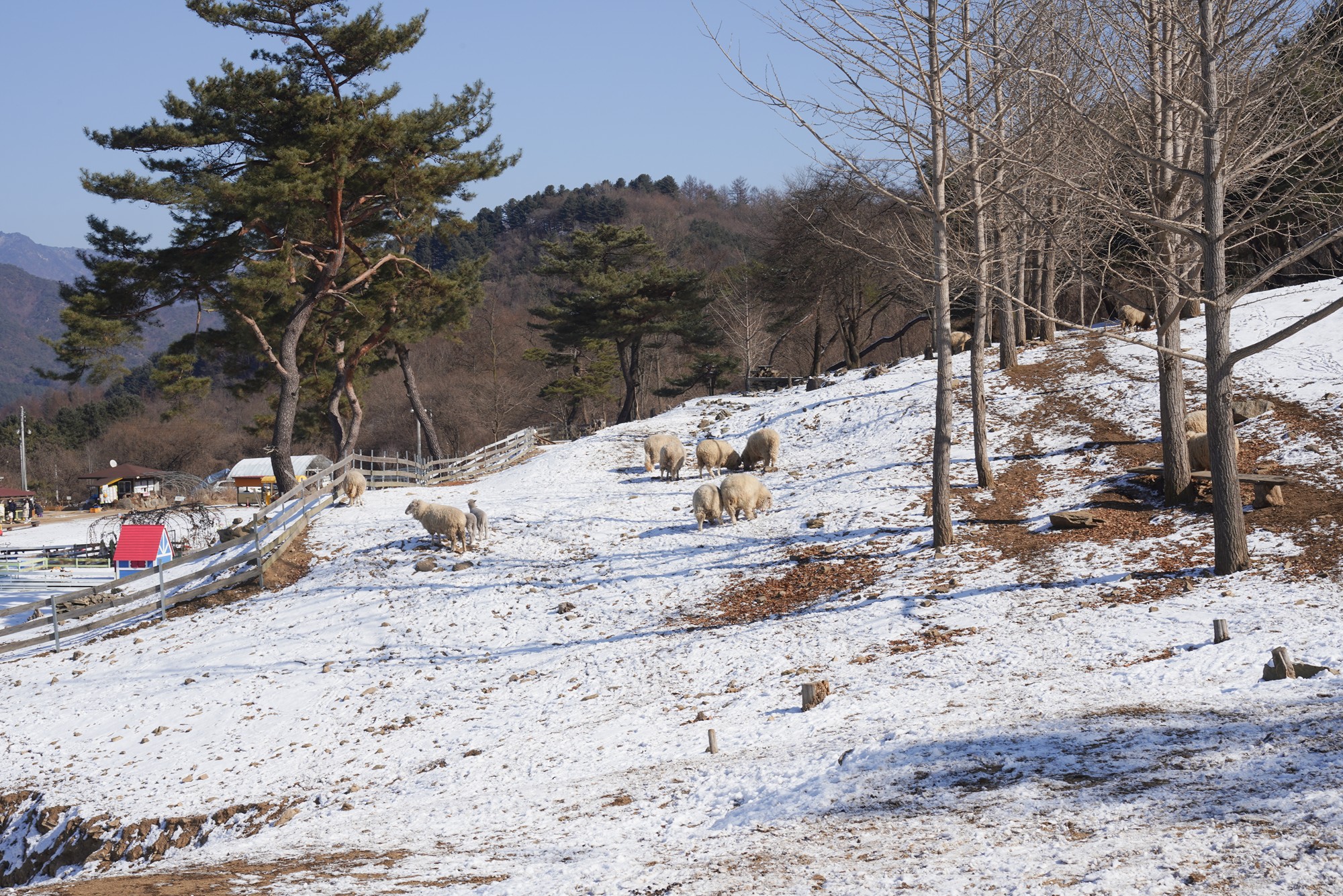 Chuncheon 3 (32)