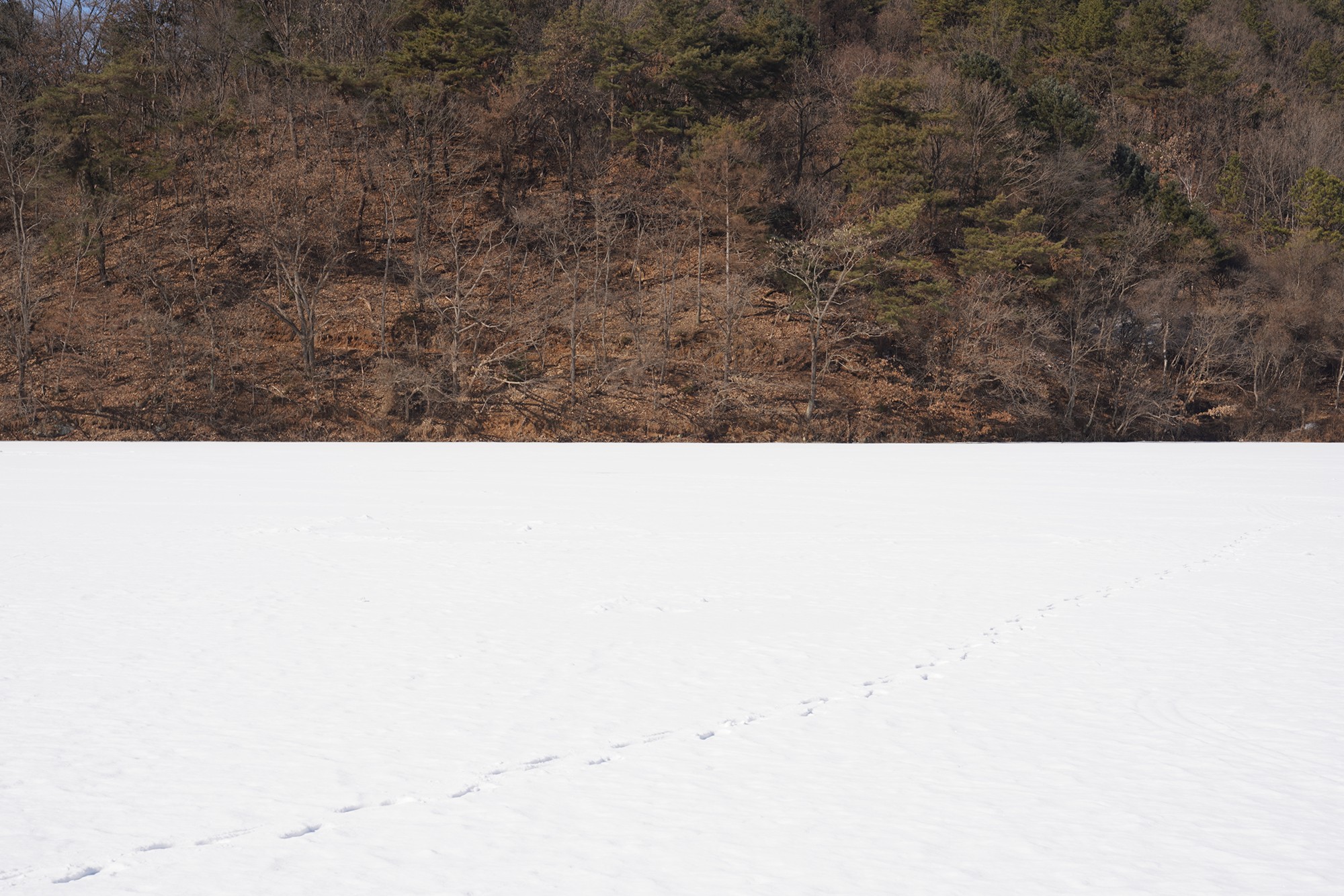 Chuncheon 3 (41)