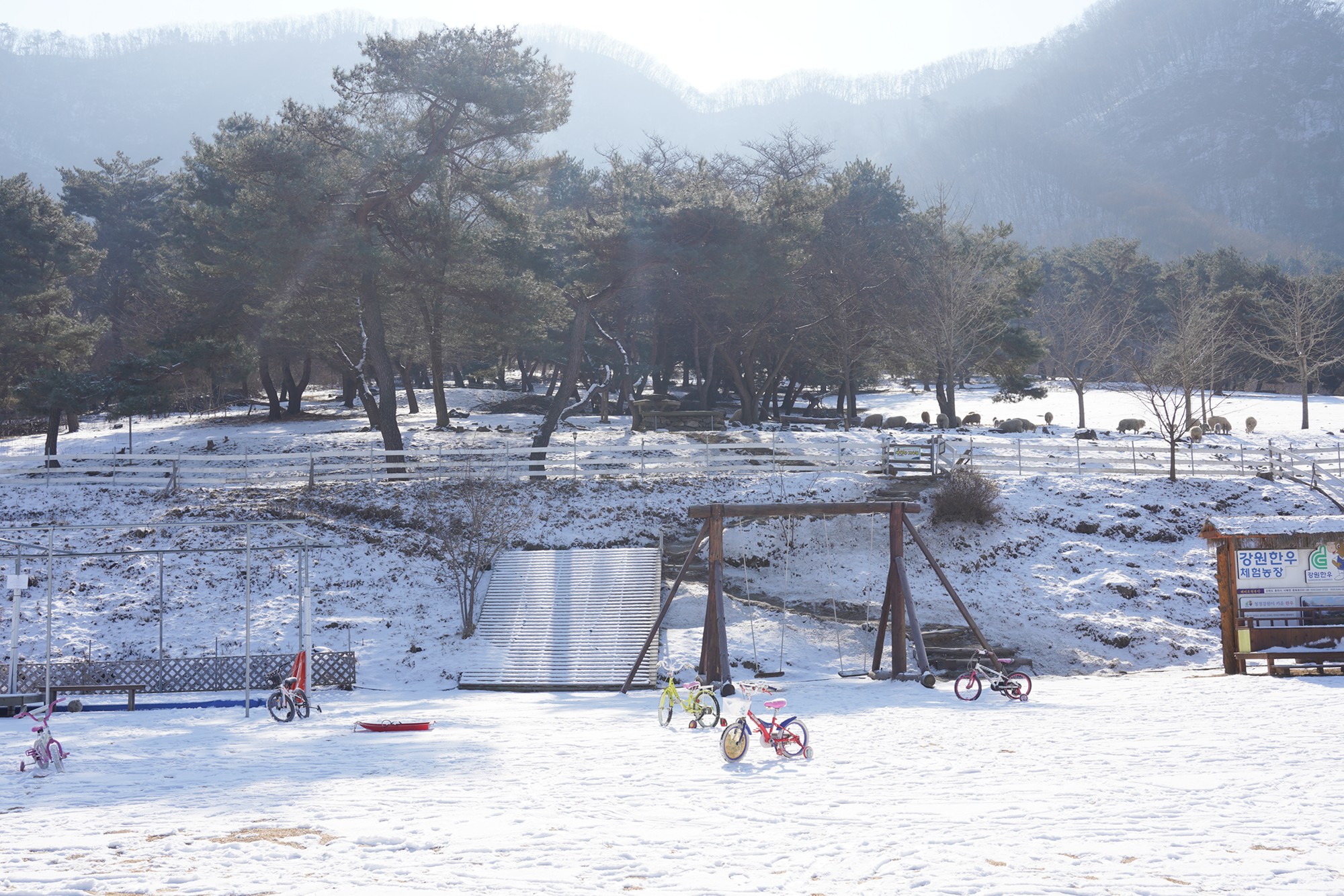 Chuncheon 3 (7)